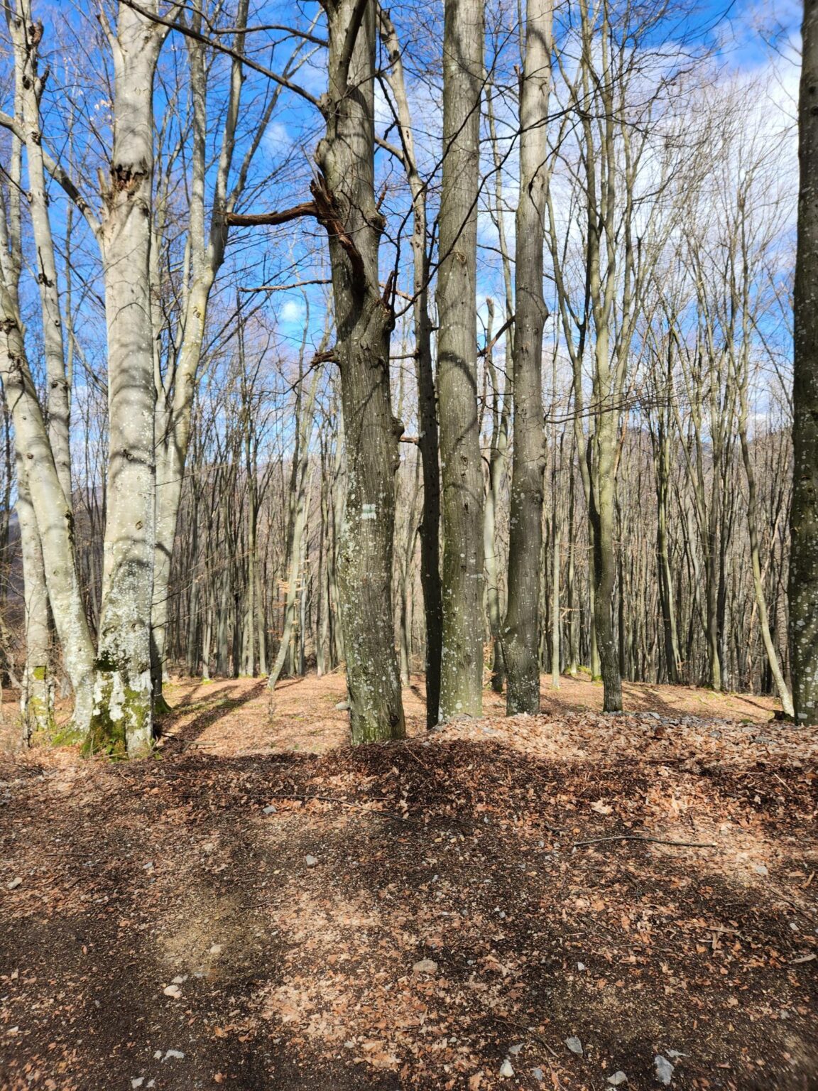 Echo of Bell Chimes Eco Trail – Etropole and Lopyan for Stamps and More