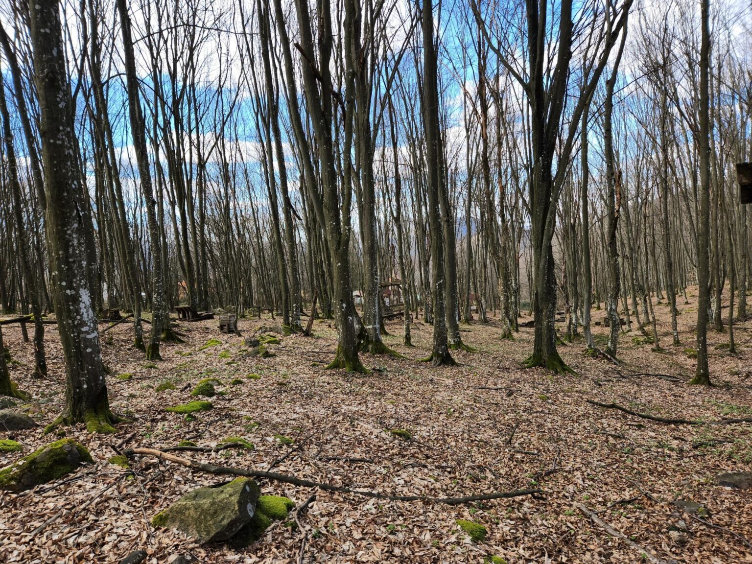 Echo of Bell Chimes Eco Trail – Etropole and Lopyan for Stamps and More