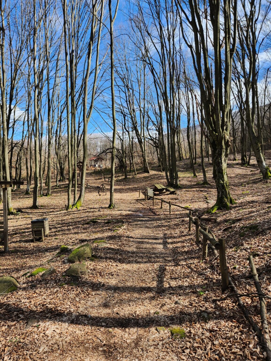 Echo of Bell Chimes Eco Trail – Etropole and Lopyan for Stamps and More