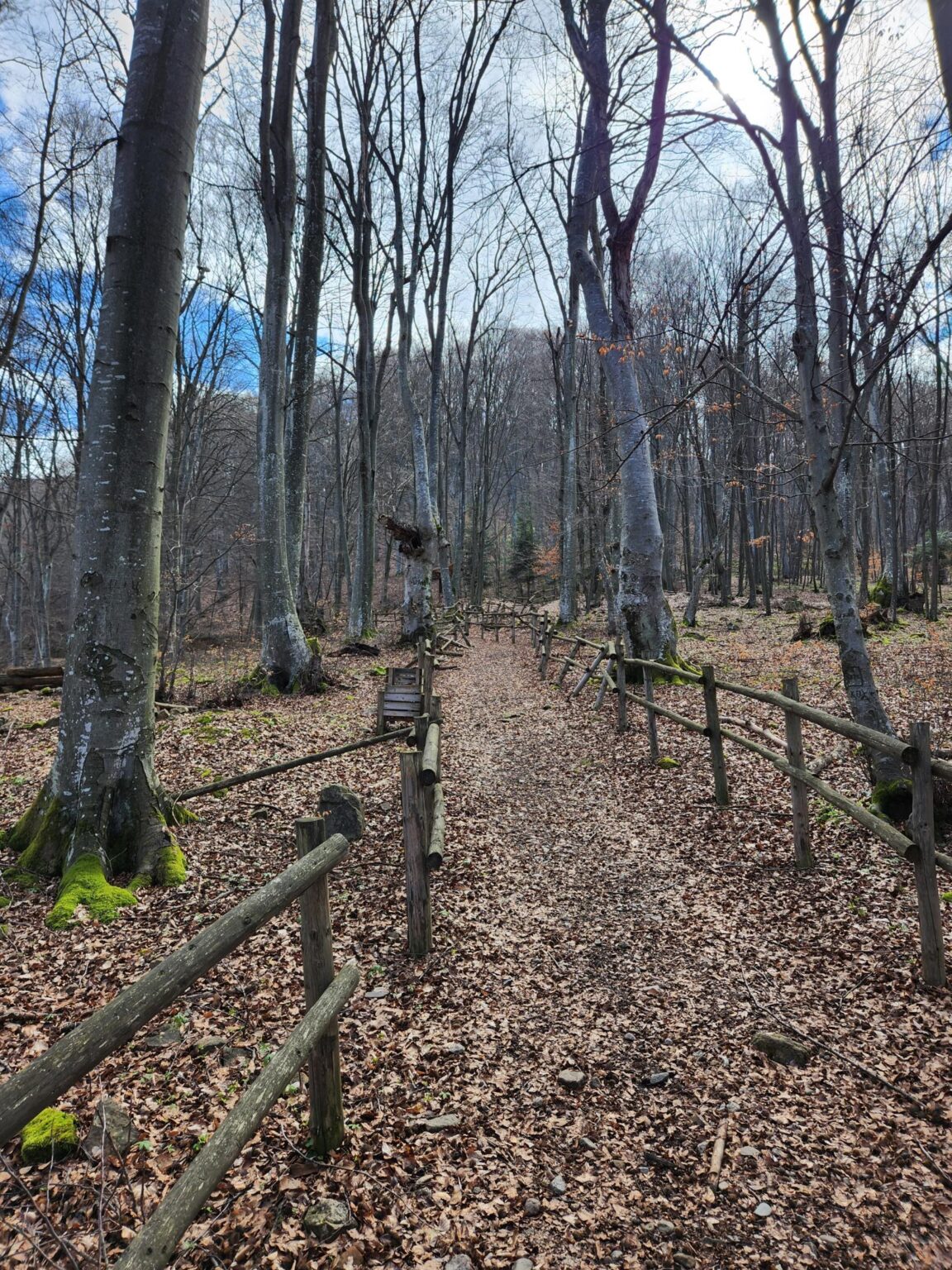 Echo of Bell Chimes Eco Trail – Etropole and Lopyan for Stamps and More