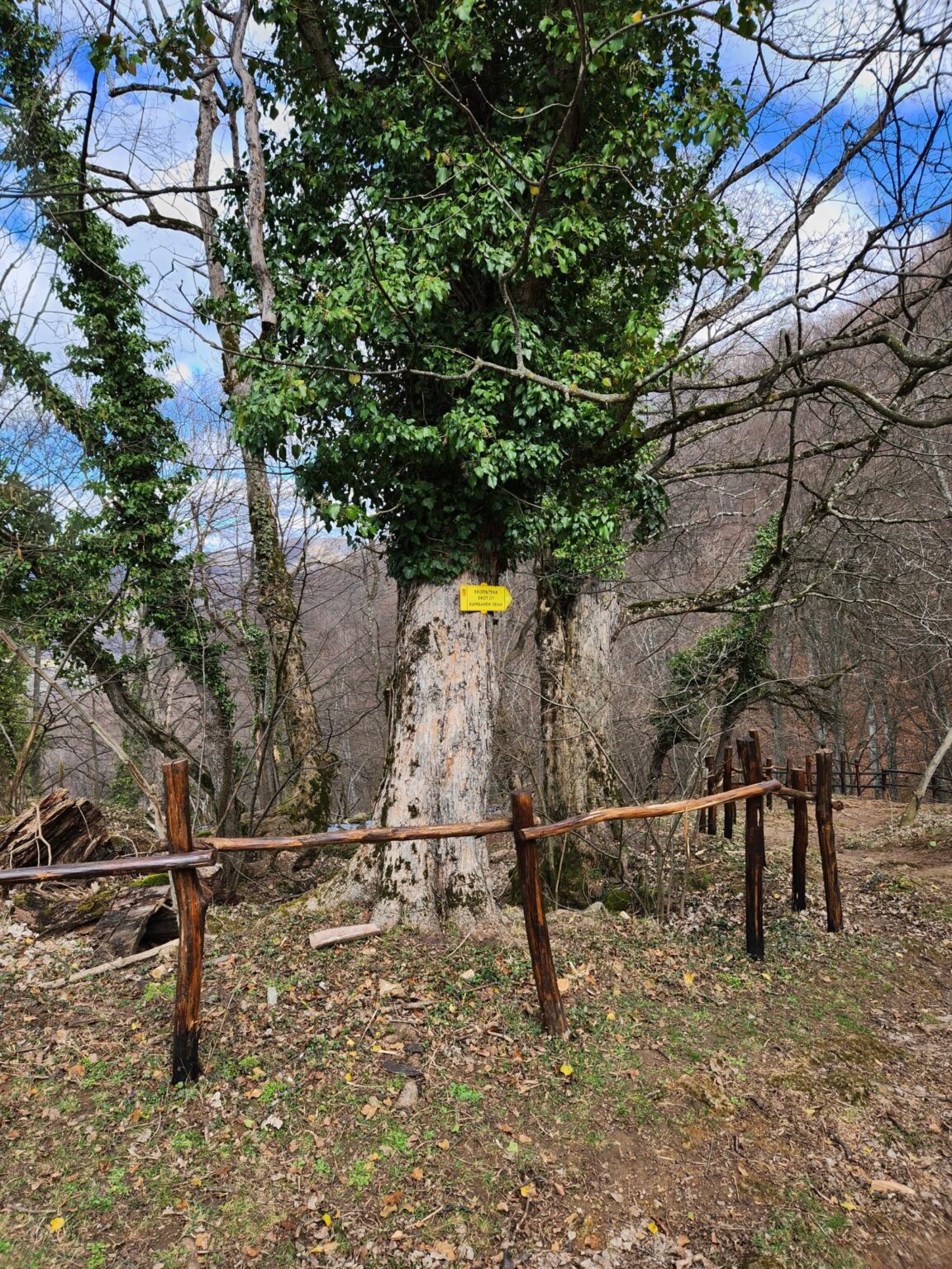 Echo of Bell Chimes Eco Trail – Etropole and Lopyan for Stamps and More