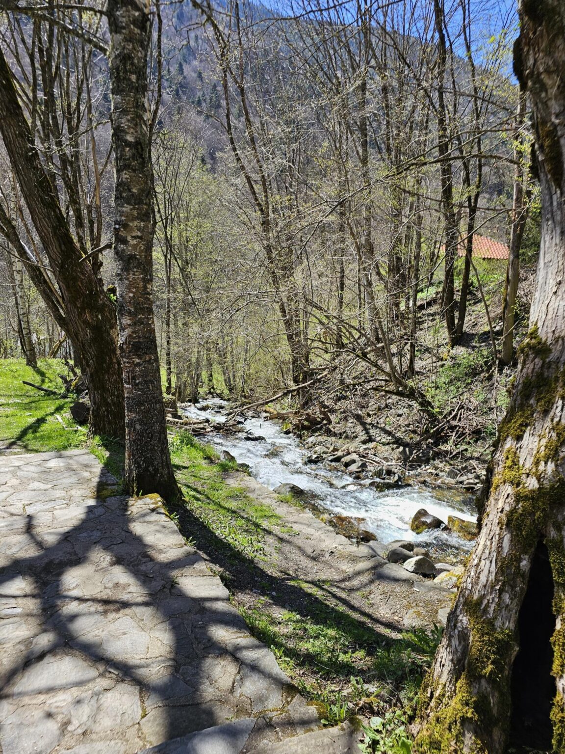 Rila in One Day: The Monastery, the Bohemia Waterfalls and the Stob Pyramids