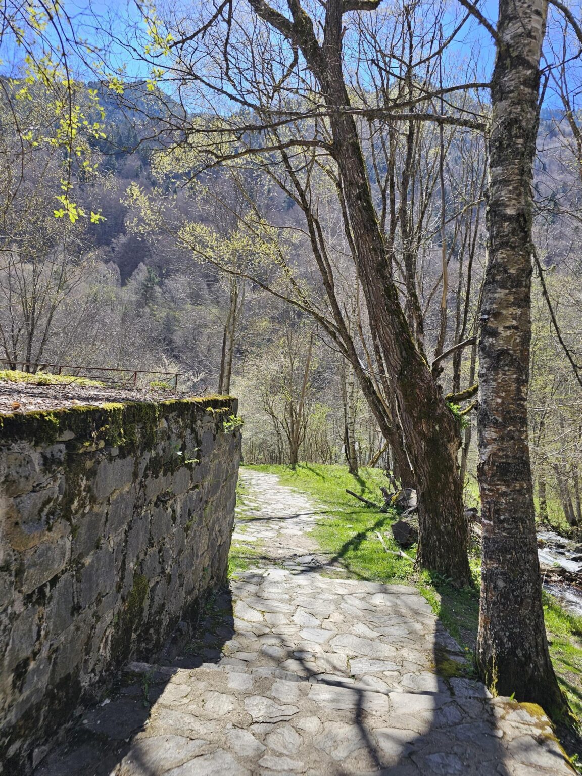 Rila in One Day: The Monastery, the Bohemia Waterfalls and the Stob Pyramids