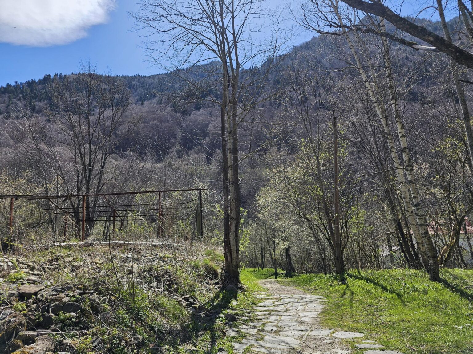 Rila in One Day: The Monastery, the Bohemia Waterfalls and the Stob Pyramids