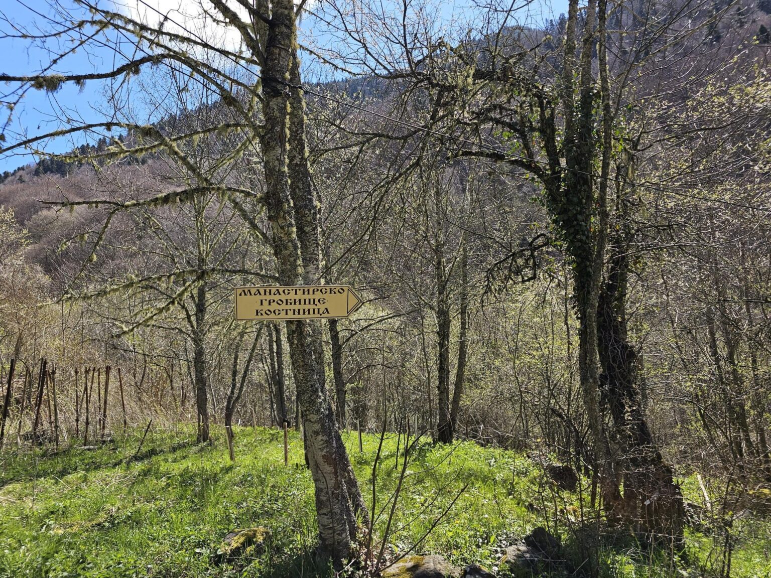 Rila in One Day: The Monastery, the Bohemia Waterfalls and the Stob Pyramids