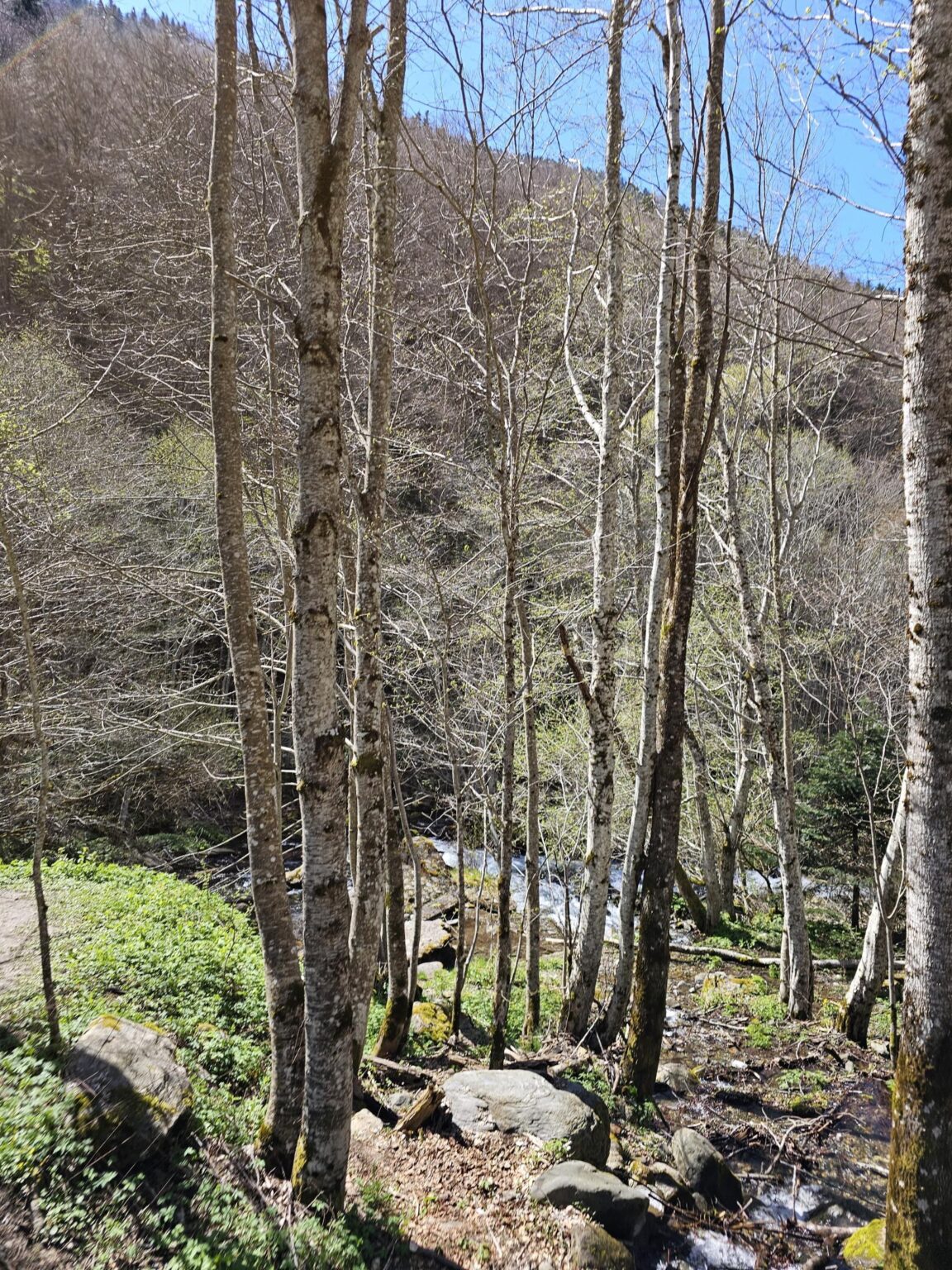 Rila in One Day: The Monastery, the Bohemia Waterfalls and the Stob Pyramids
