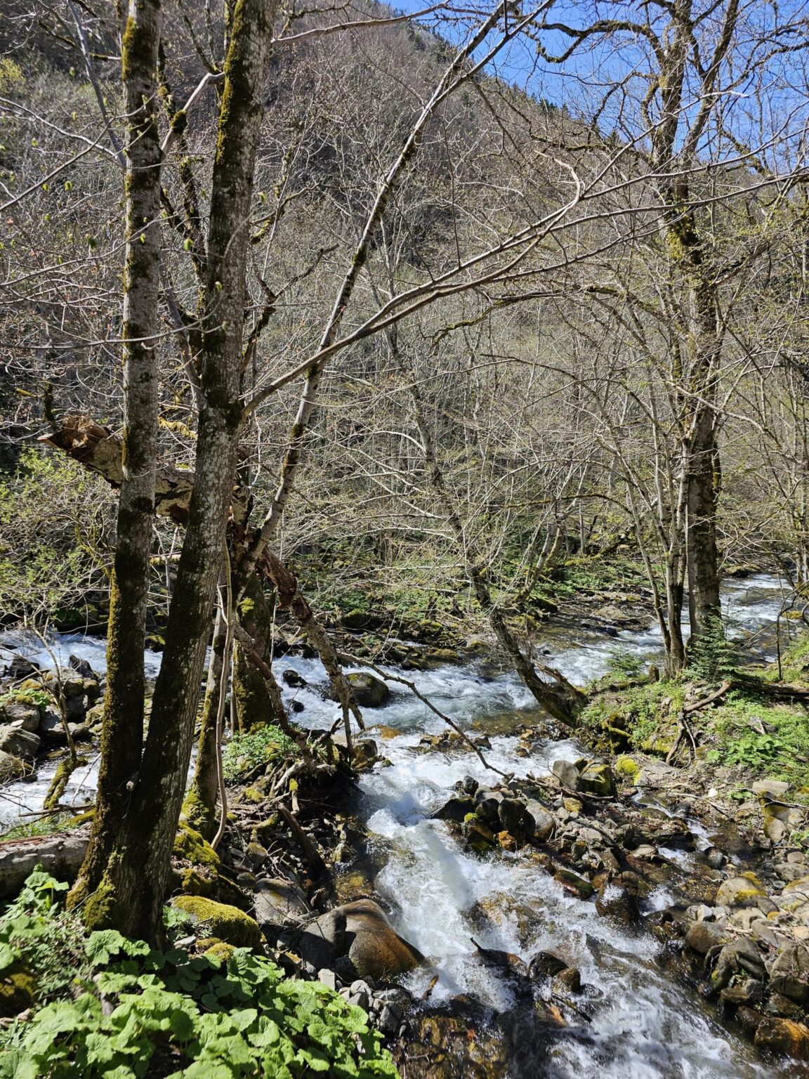 Rila in One Day: The Monastery, the Bohemia Waterfalls and the Stob Pyramids