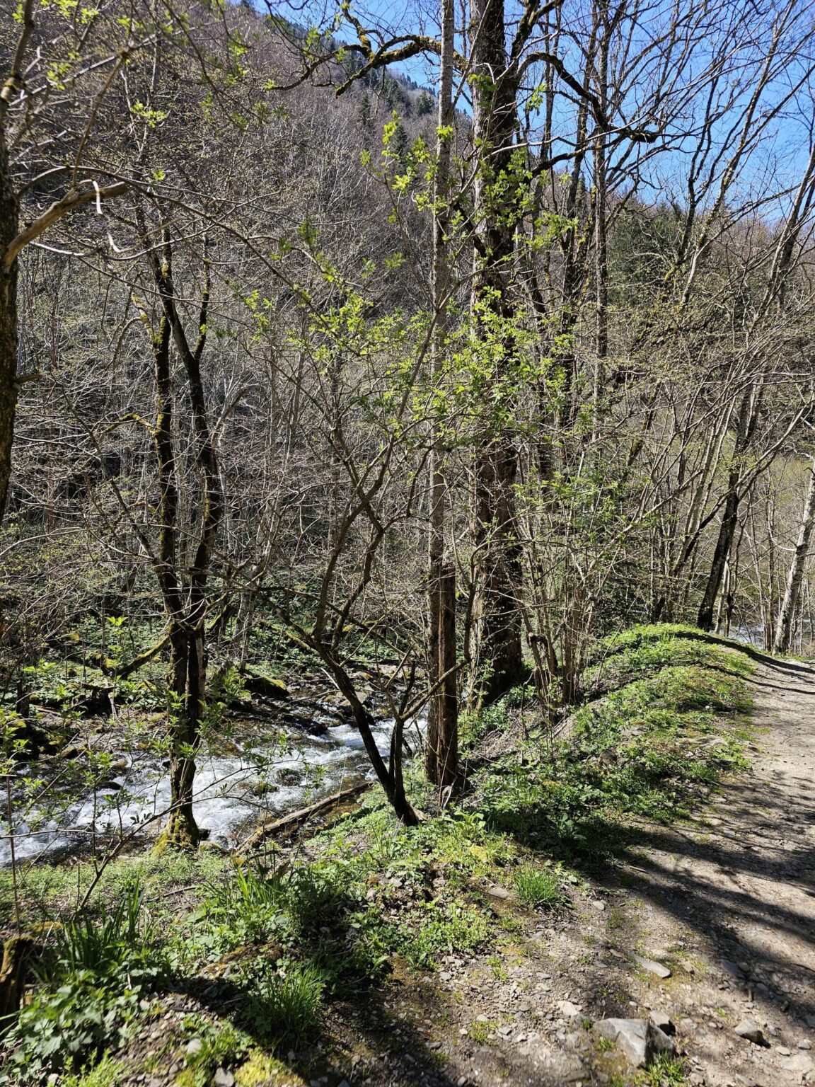 Rila in One Day: The Monastery, the Bohemia Waterfalls and the Stob Pyramids