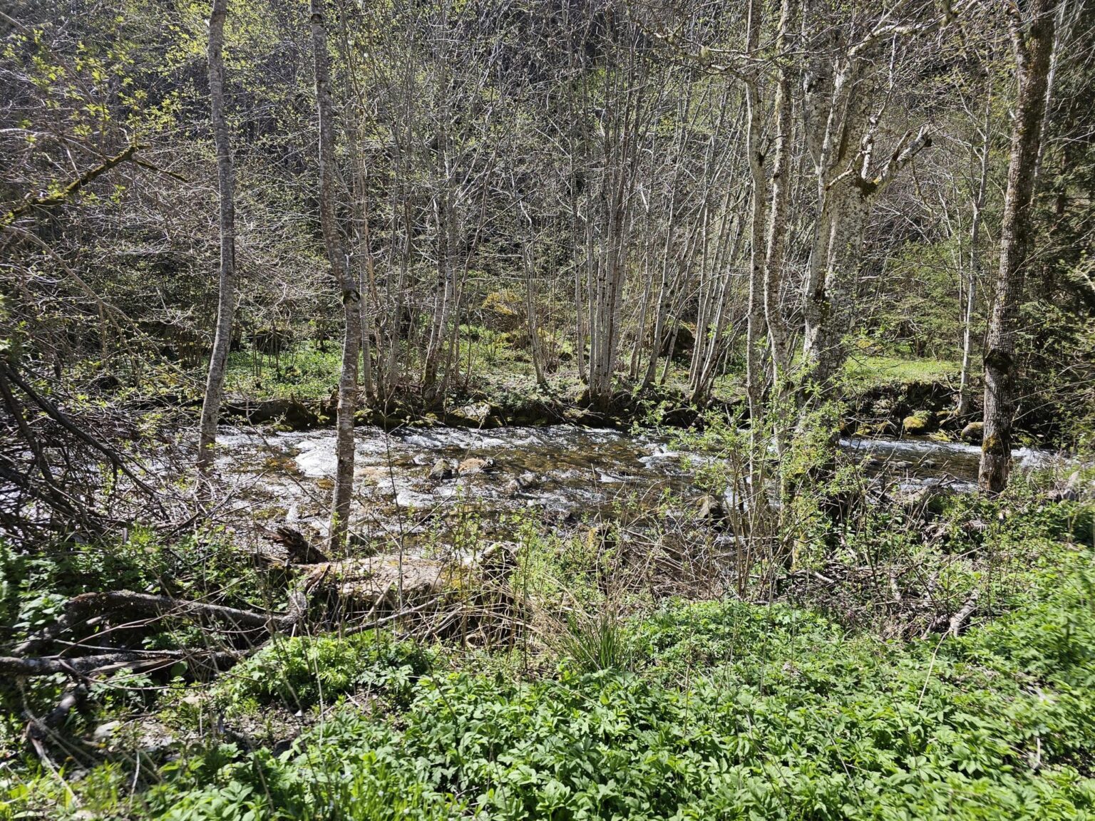 Rila in One Day: The Monastery, the Bohemia Waterfalls and the Stob Pyramids