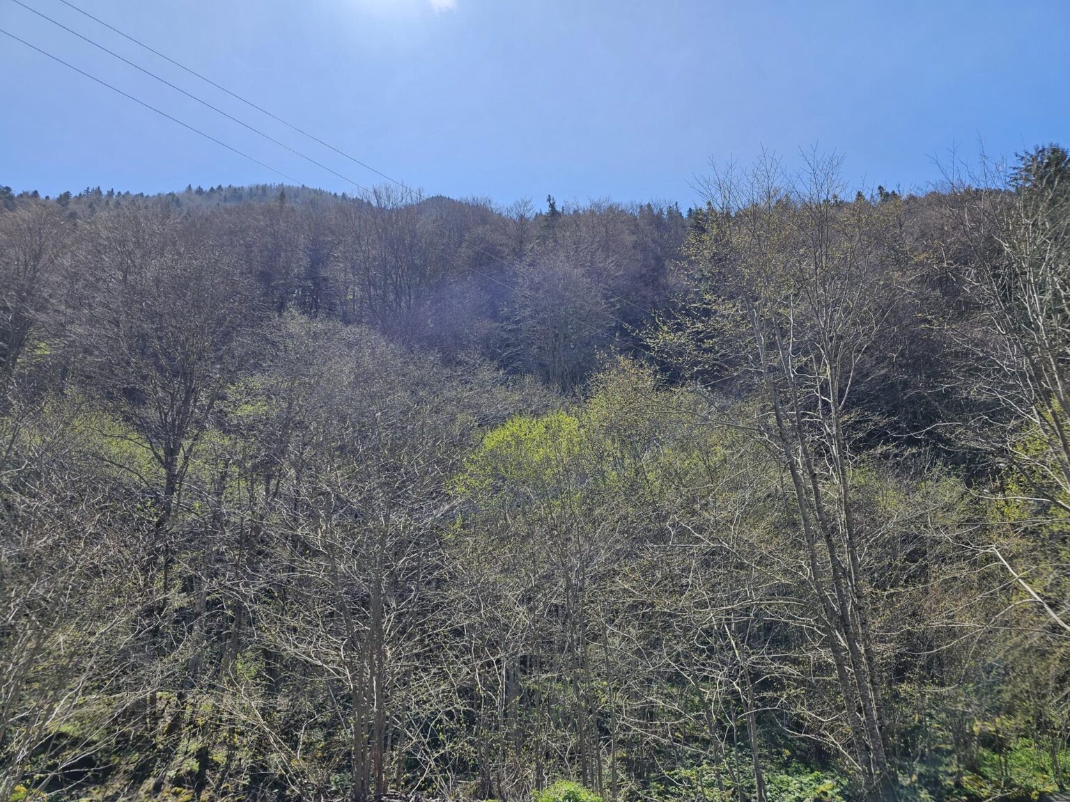 Rila in One Day: The Monastery, the Bohemia Waterfalls and the Stob Pyramids