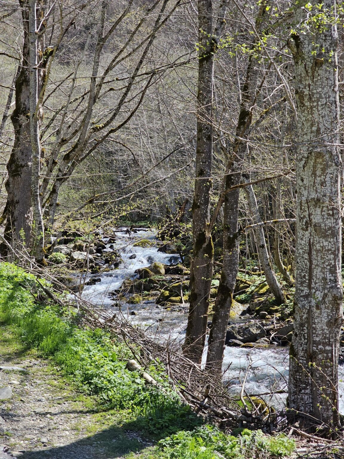 Rila in One Day: The Monastery, the Bohemia Waterfalls and the Stob Pyramids
