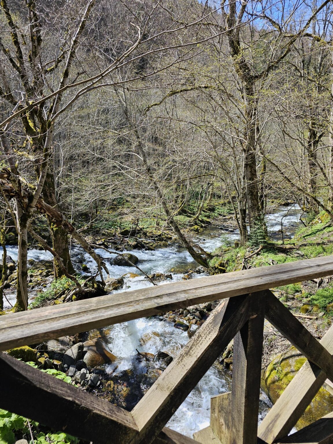 Rila in One Day: The Monastery, the Bohemia Waterfalls and the Stob Pyramids