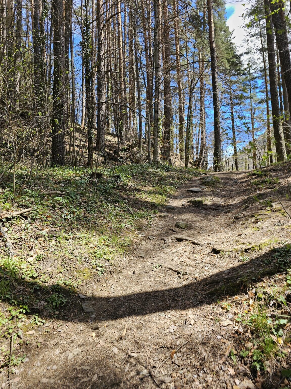 Rila in One Day: The Monastery, the Bohemia Waterfalls and the Stob Pyramids
