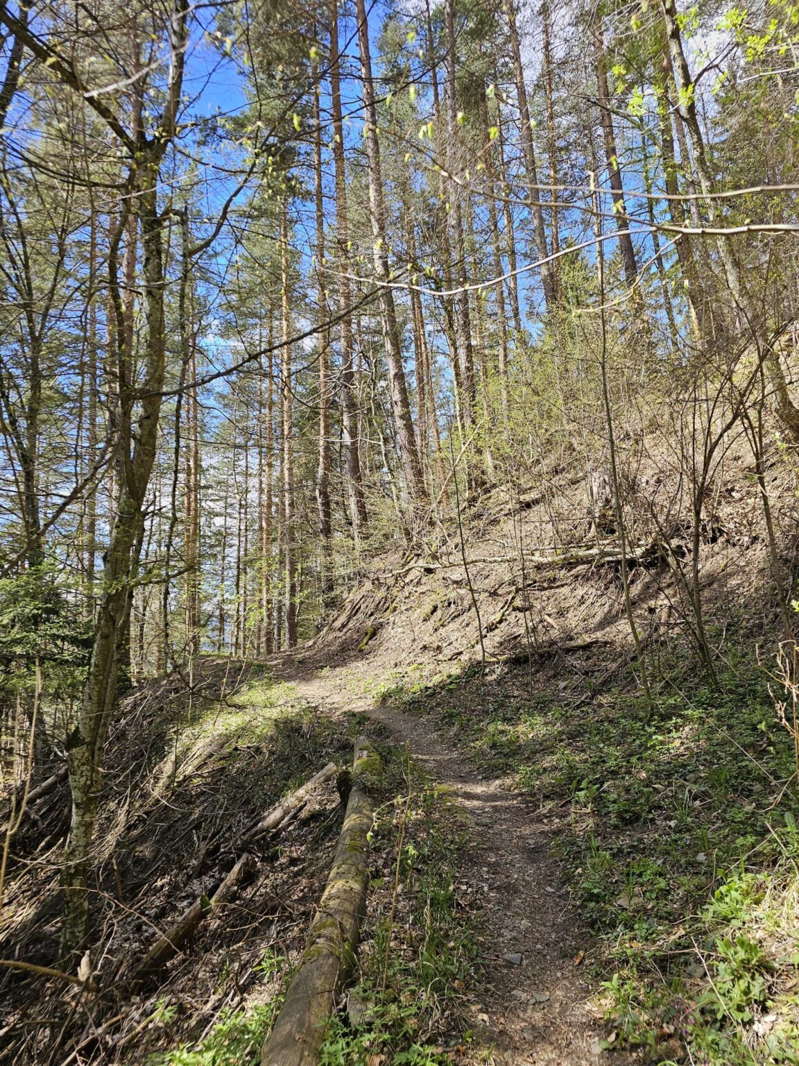 Rila in One Day: The Monastery, the Bohemia Waterfalls and the Stob Pyramids