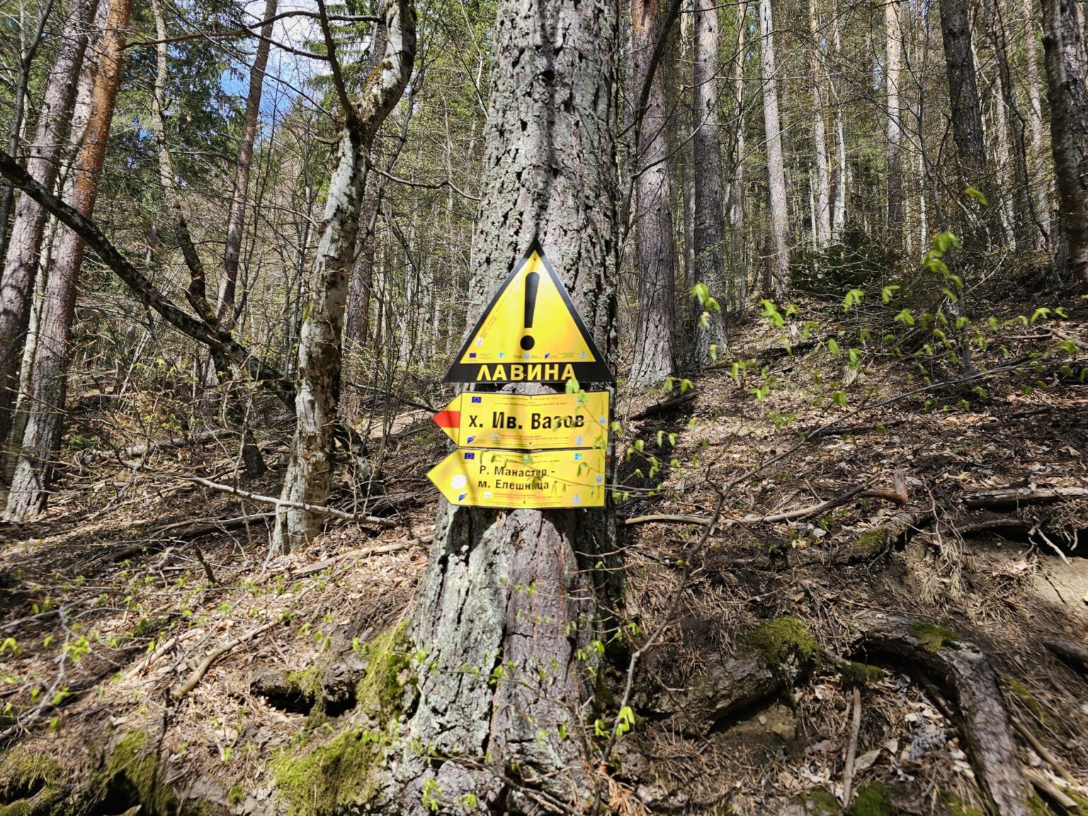 Rila in One Day: The Monastery, the Bohemia Waterfalls and the Stob Pyramids