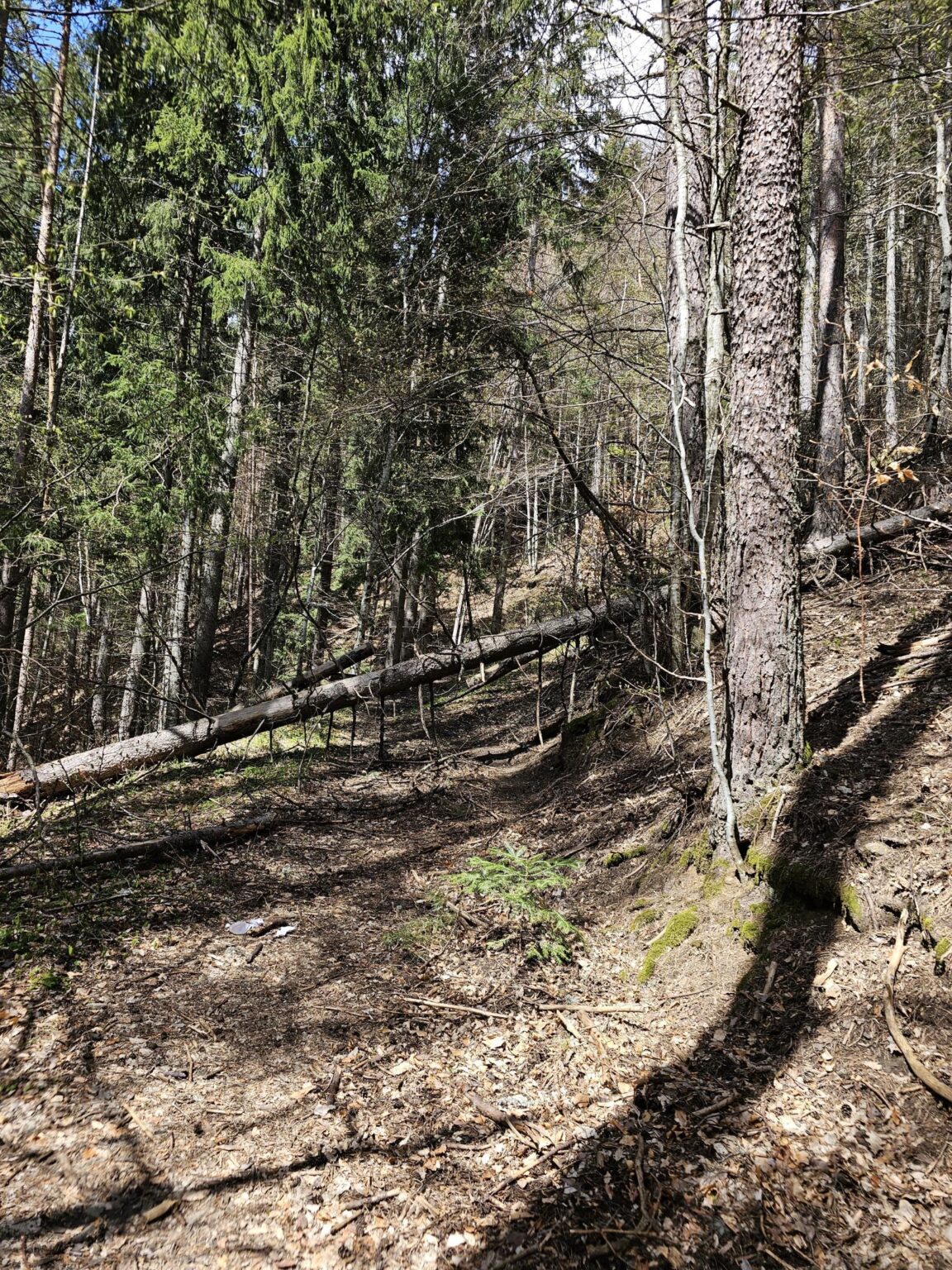 Rila in One Day: The Monastery, the Bohemia Waterfalls and the Stob Pyramids