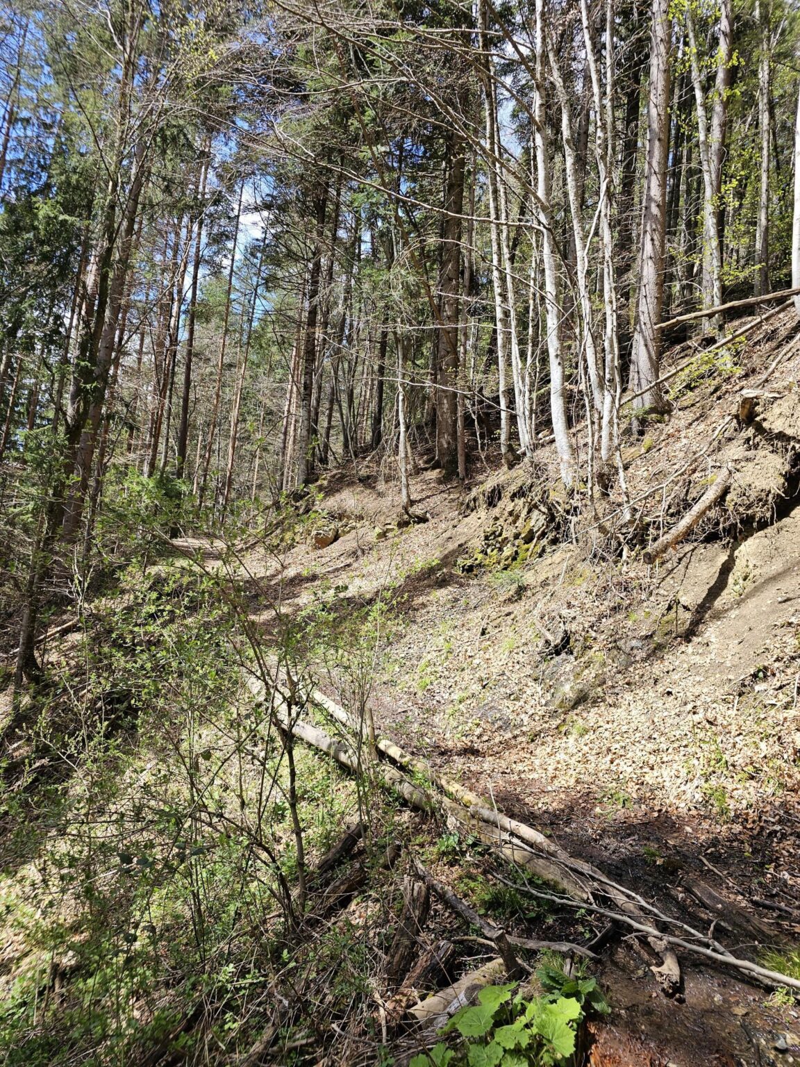 Rila in One Day: The Monastery, the Bohemia Waterfalls and the Stob Pyramids