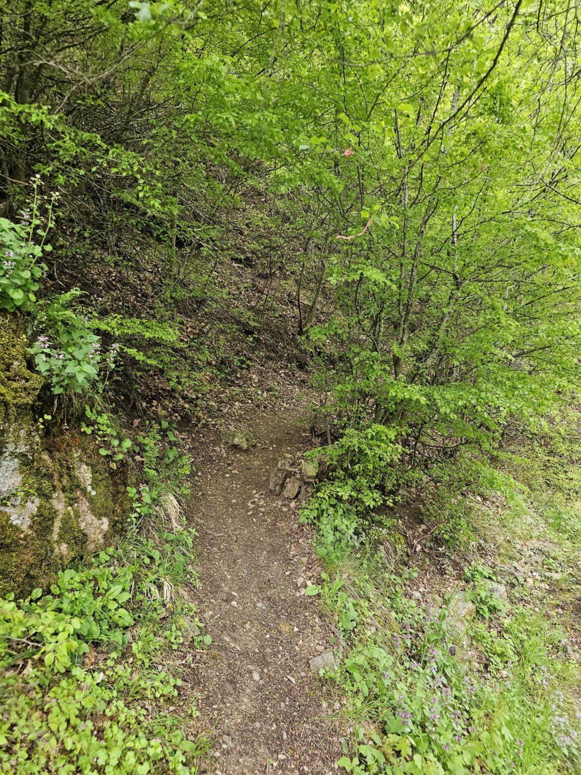 Rila in One Day: The Monastery, the Bohemia Waterfalls and the Stob Pyramids