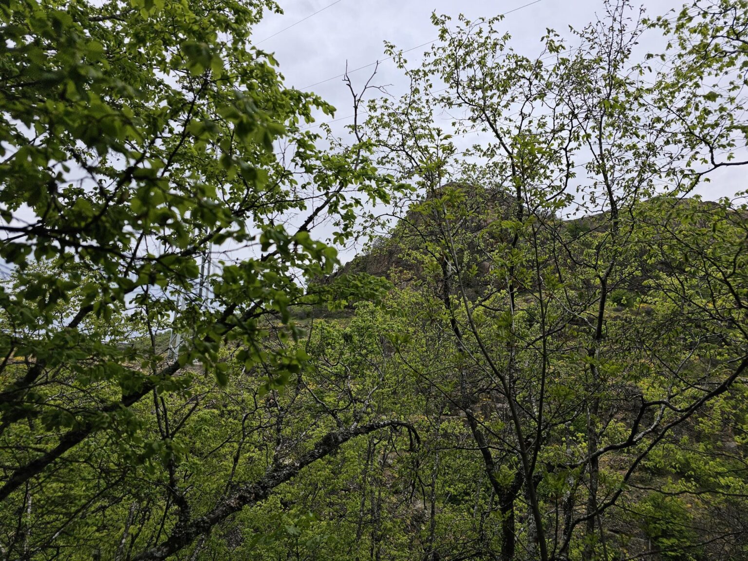 Rila in One Day: The Monastery, the Bohemia Waterfalls and the Stob Pyramids