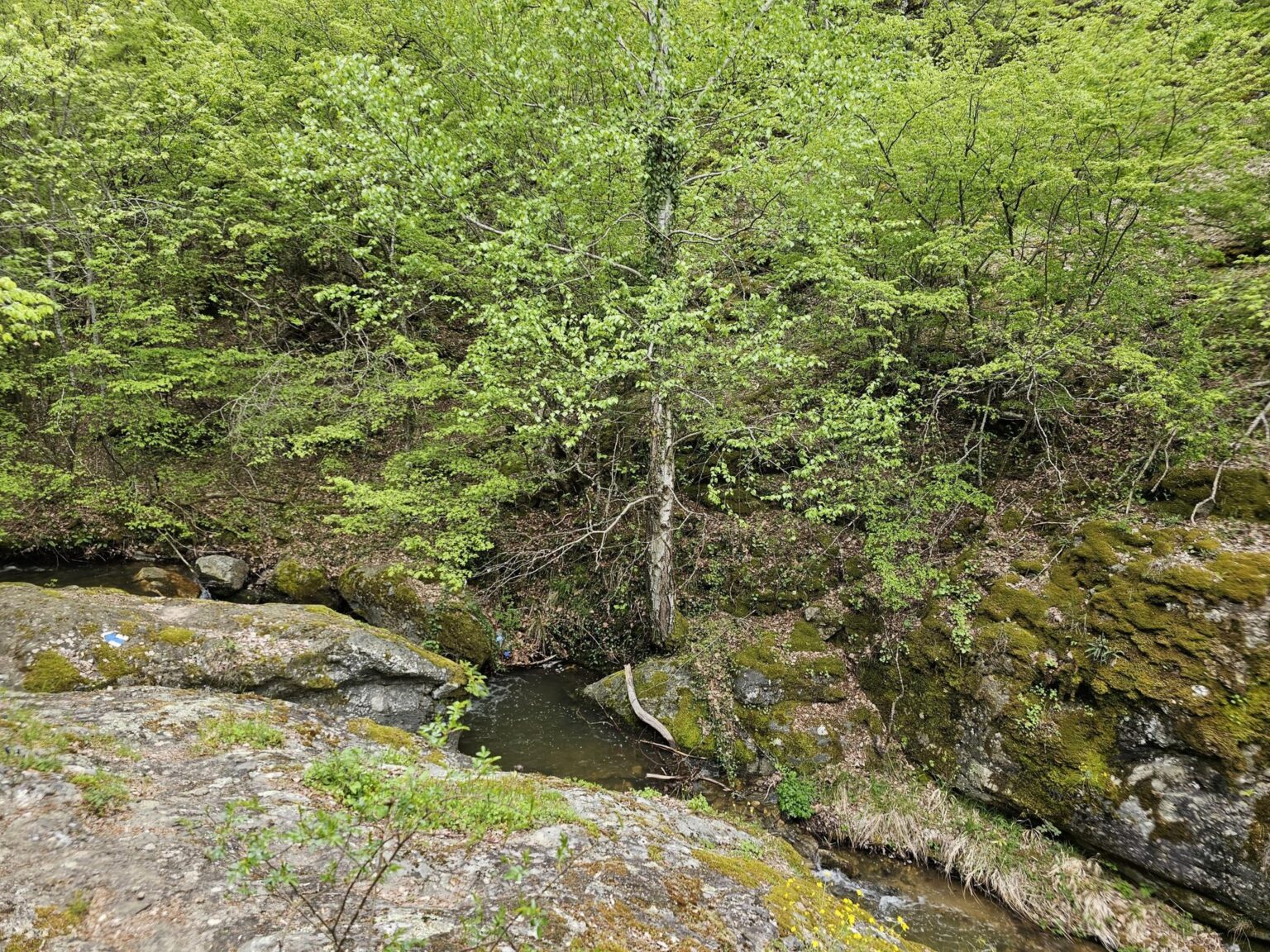 Rila in One Day: The Monastery, the Bohemia Waterfalls and the Stob Pyramids