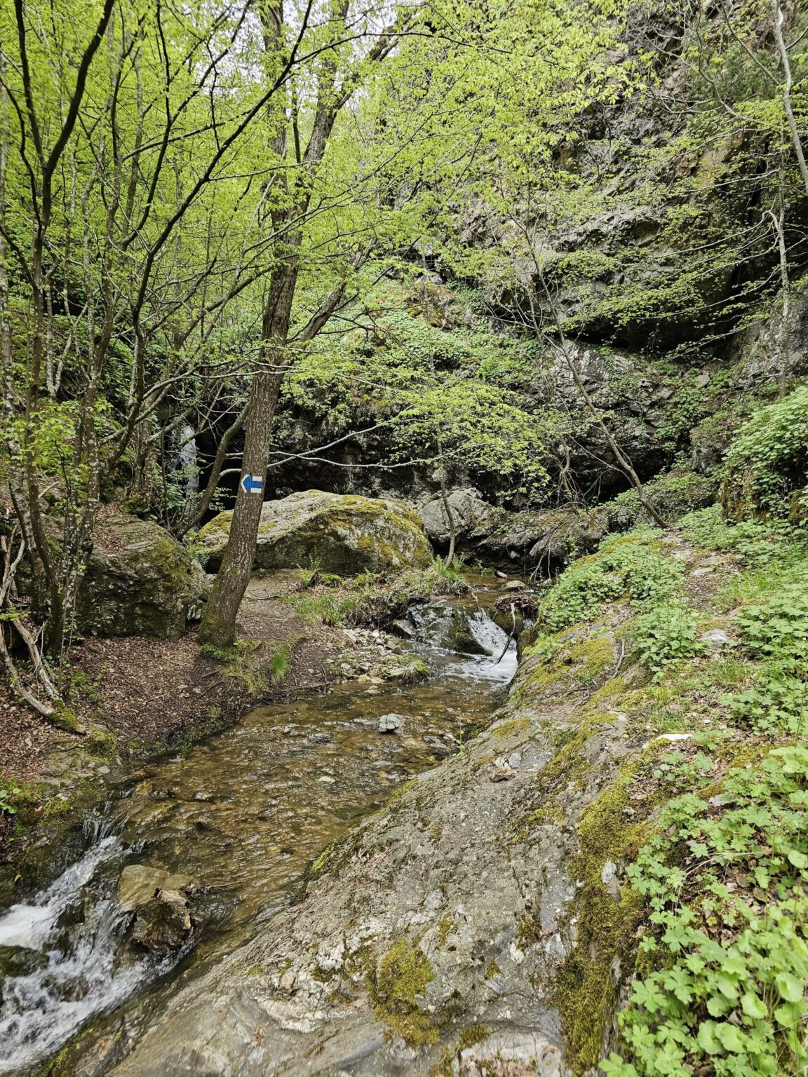 Rila in One Day: The Monastery, the Bohemia Waterfalls and the Stob Pyramids