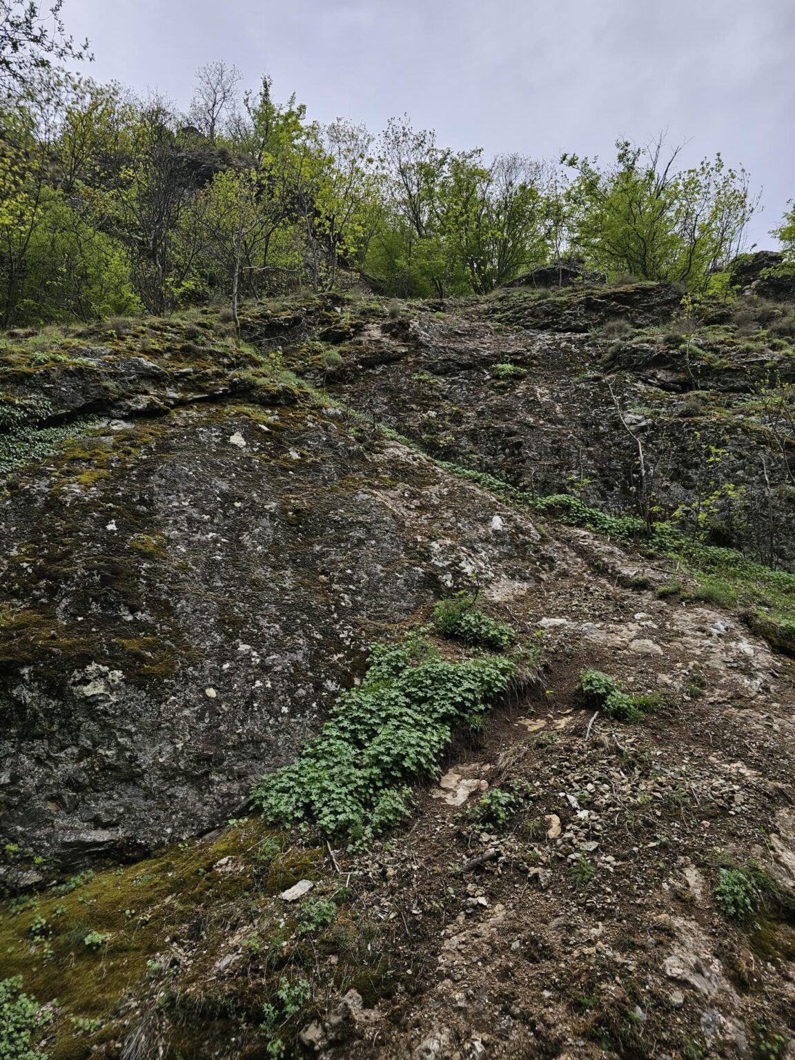 Rila in One Day: The Monastery, the Bohemia Waterfalls and the Stob Pyramids