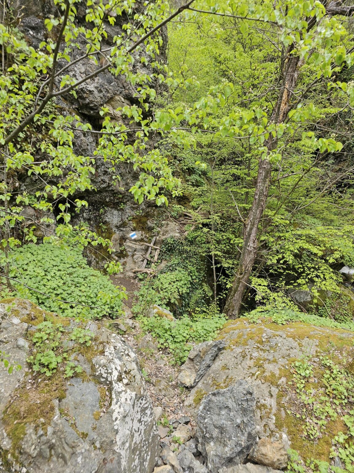 Rila in One Day: The Monastery, the Bohemia Waterfalls and the Stob Pyramids