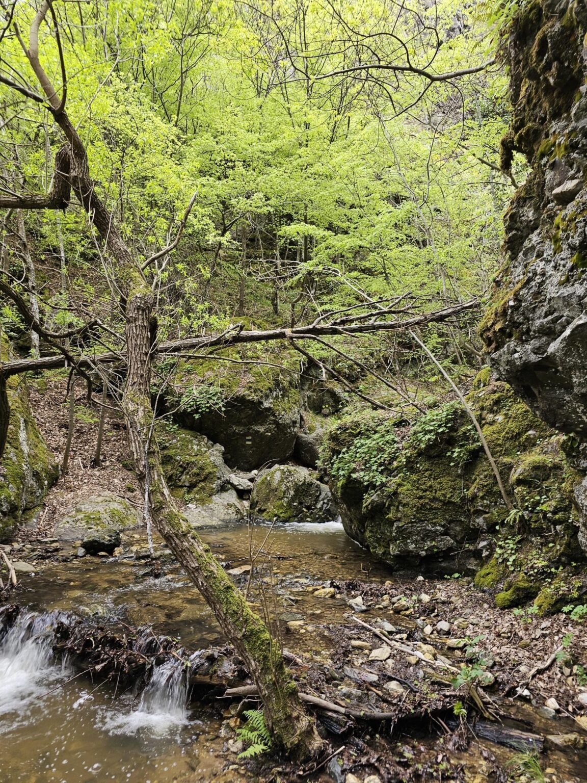 Rila in One Day: The Monastery, the Bohemia Waterfalls and the Stob Pyramids