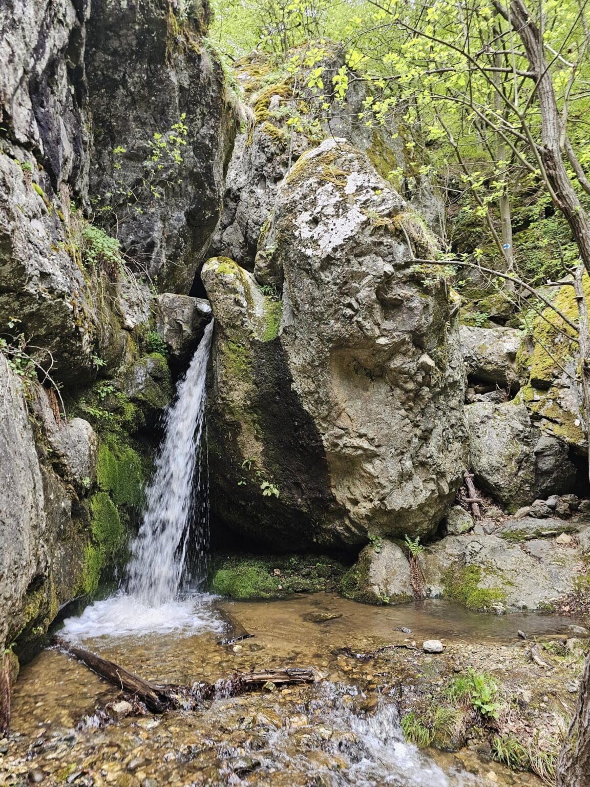 Rila in One Day: The Monastery, the Bohemia Waterfalls and the Stob Pyramids
