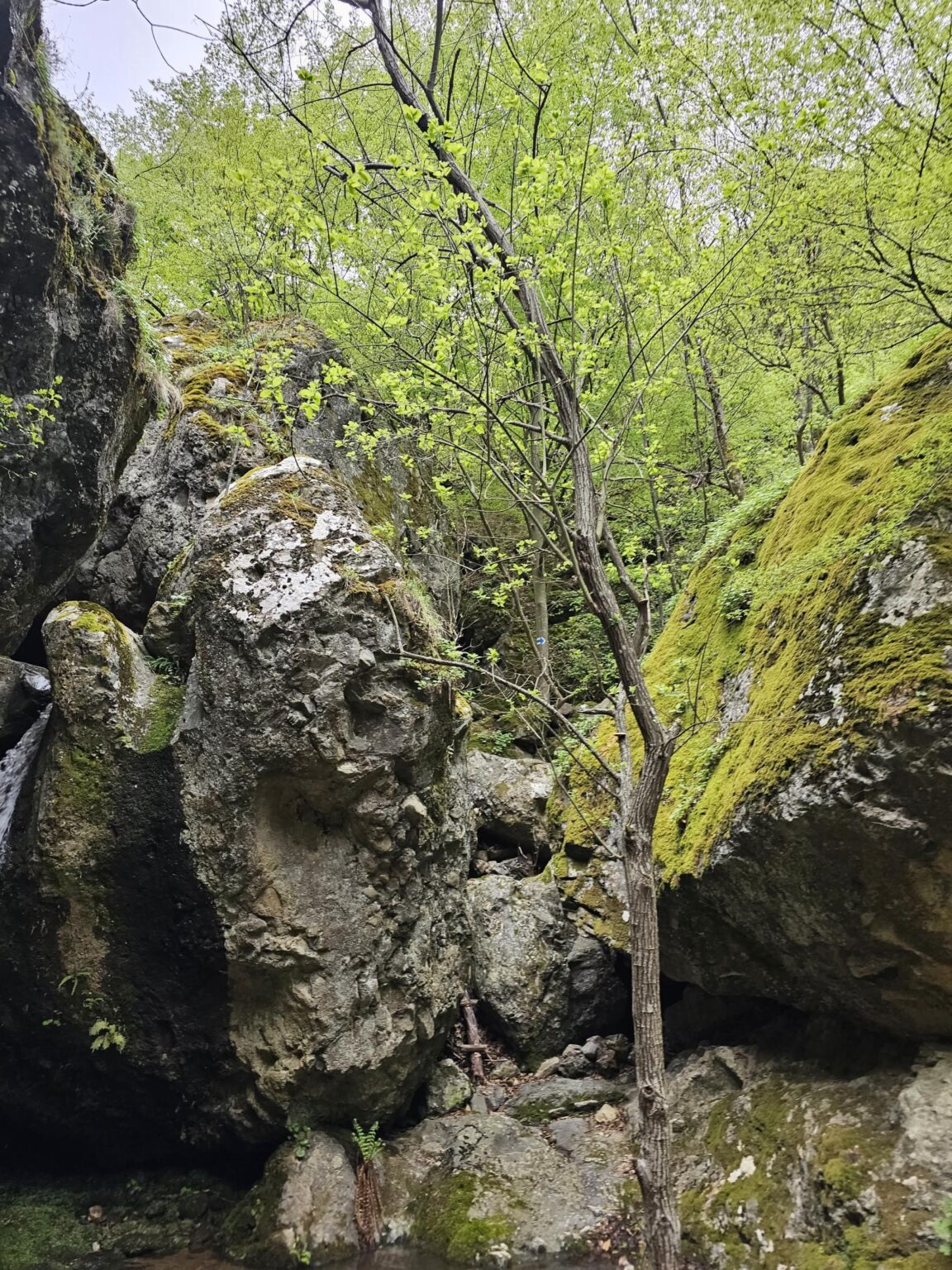 Rila in One Day: The Monastery, the Bohemia Waterfalls and the Stob Pyramids