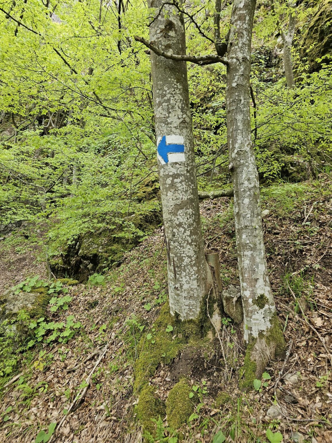 Rila in One Day: The Monastery, the Bohemia Waterfalls and the Stob Pyramids