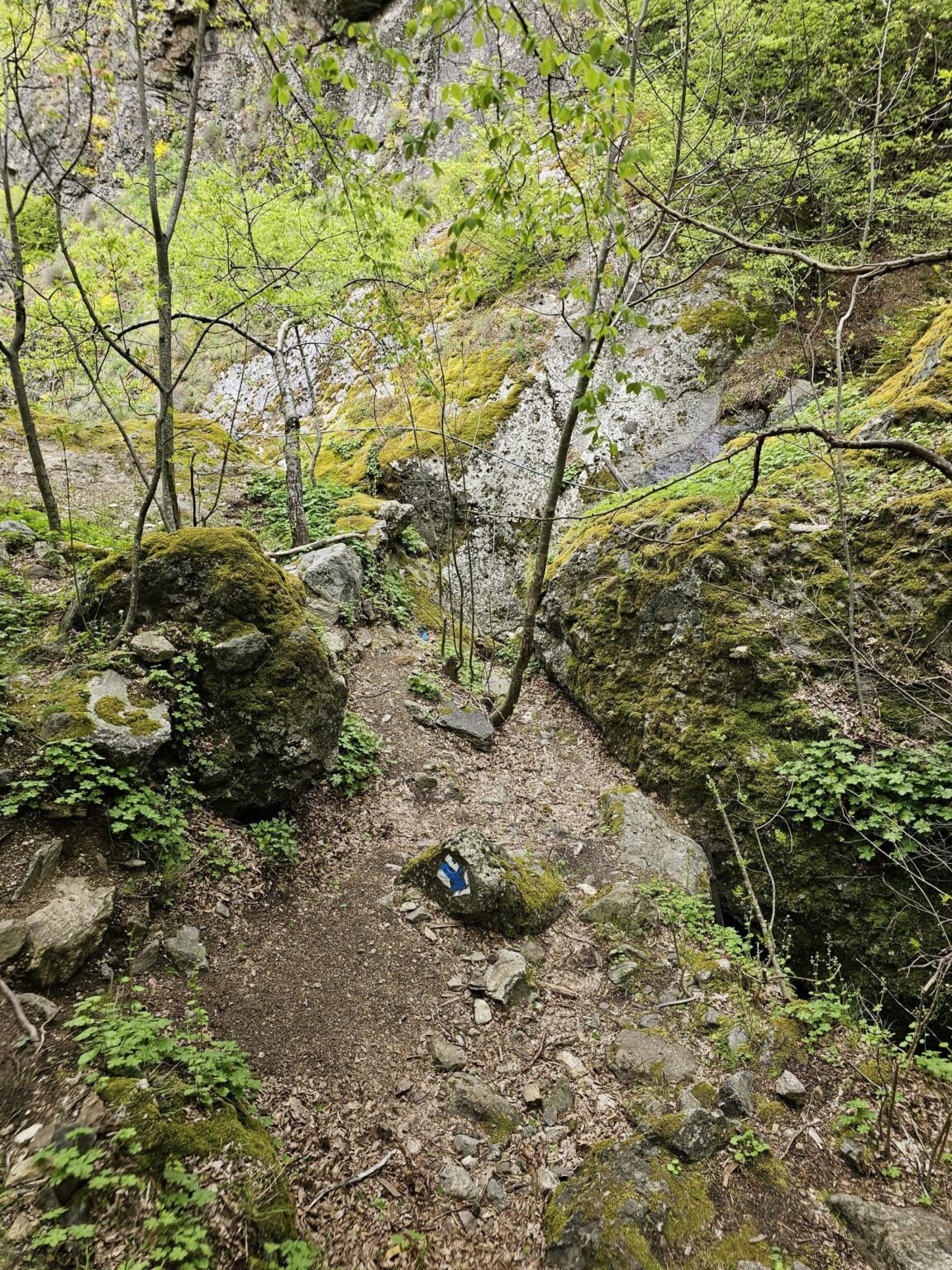 Rila in One Day: The Monastery, the Bohemia Waterfalls and the Stob Pyramids
