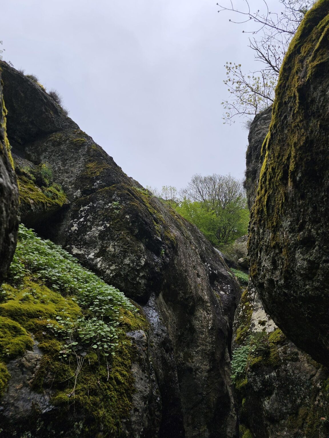 Rila in One Day: The Monastery, the Bohemia Waterfalls and the Stob Pyramids