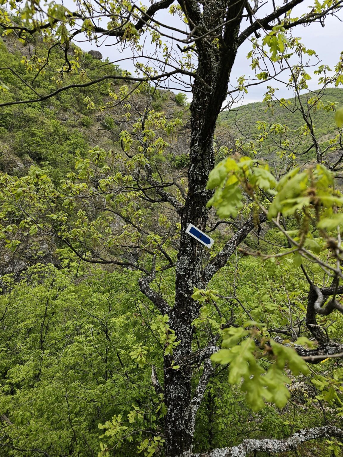 Rila in One Day: The Monastery, the Bohemia Waterfalls and the Stob Pyramids
