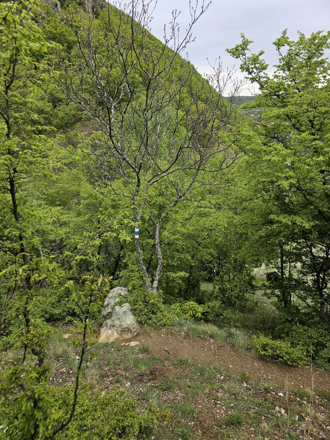 Rila in One Day: The Monastery, the Bohemia Waterfalls and the Stob Pyramids