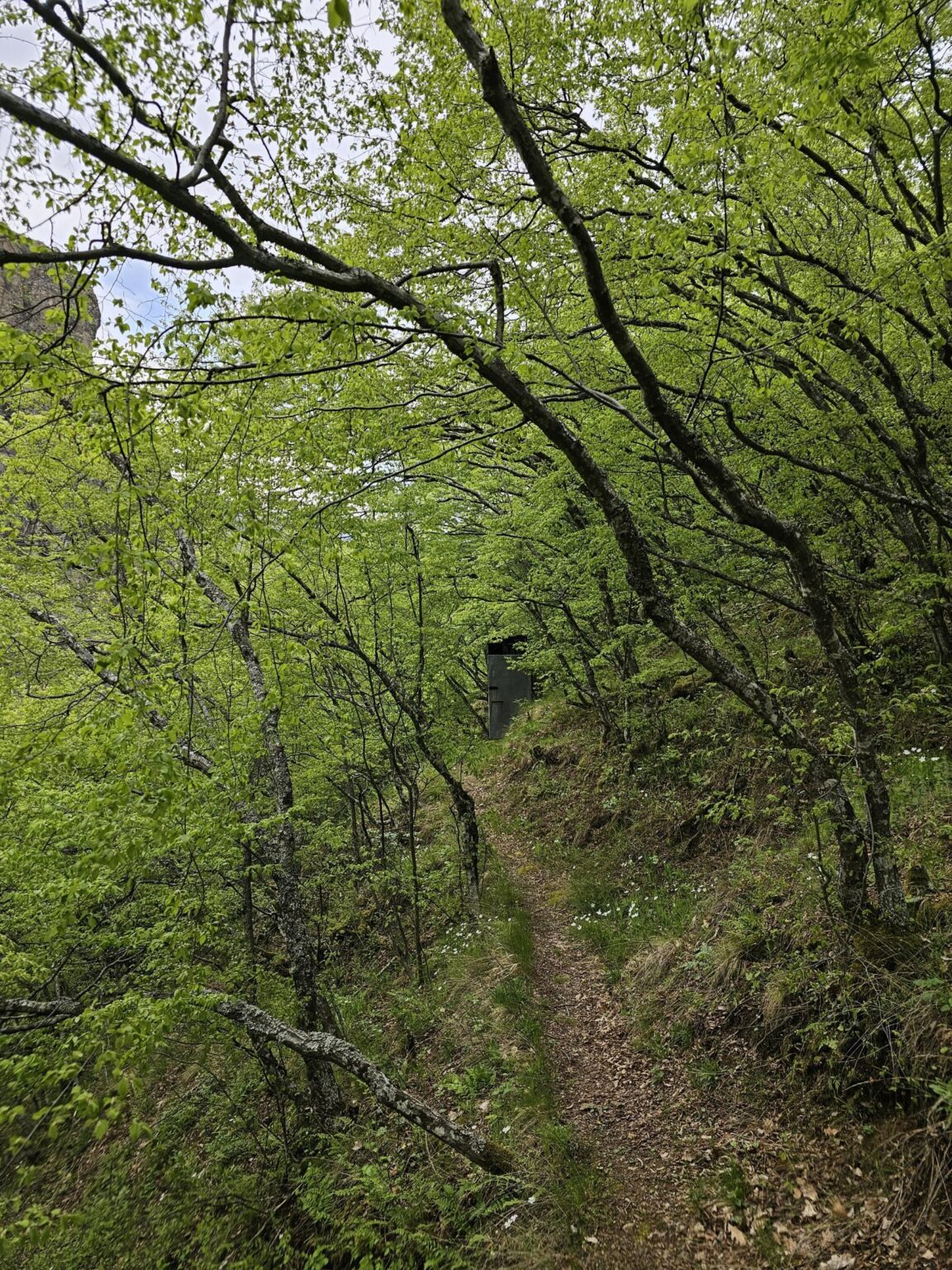 Rila in One Day: The Monastery, the Bohemia Waterfalls and the Stob Pyramids