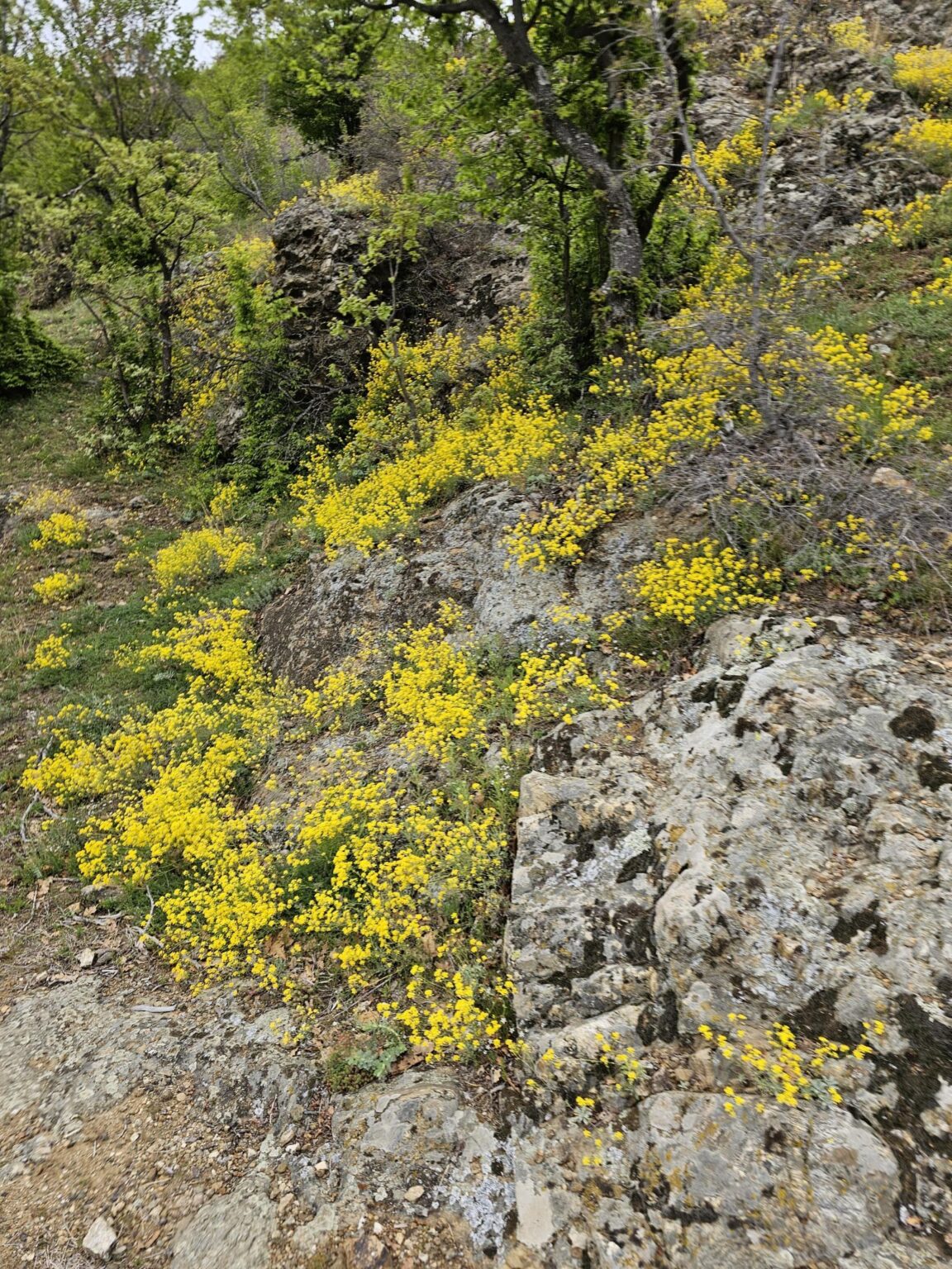 Rila in One Day: The Monastery, the Bohemia Waterfalls and the Stob Pyramids