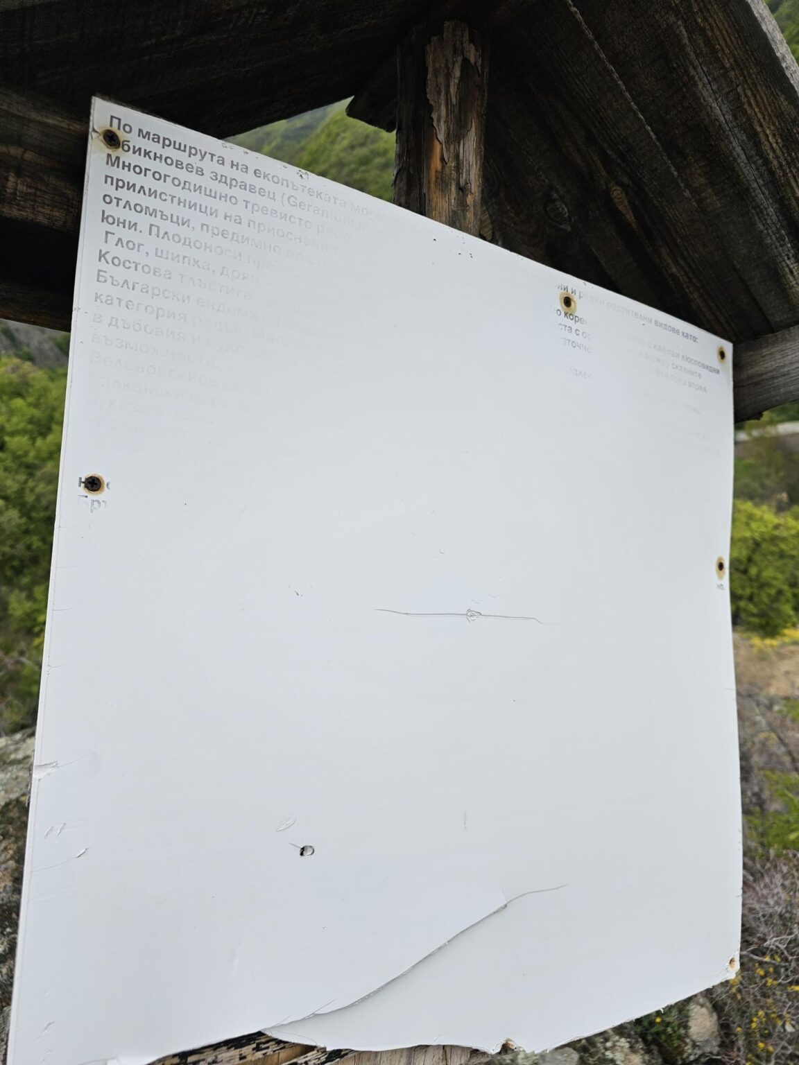 Rila in One Day: The Monastery, the Bohemia Waterfalls and the Stob Pyramids