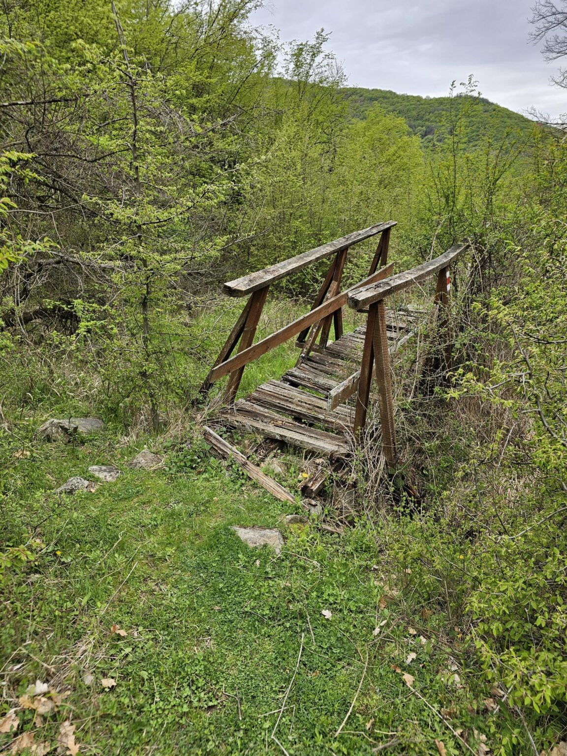 Rila in One Day: The Monastery, the Bohemia Waterfalls and the Stob Pyramids
