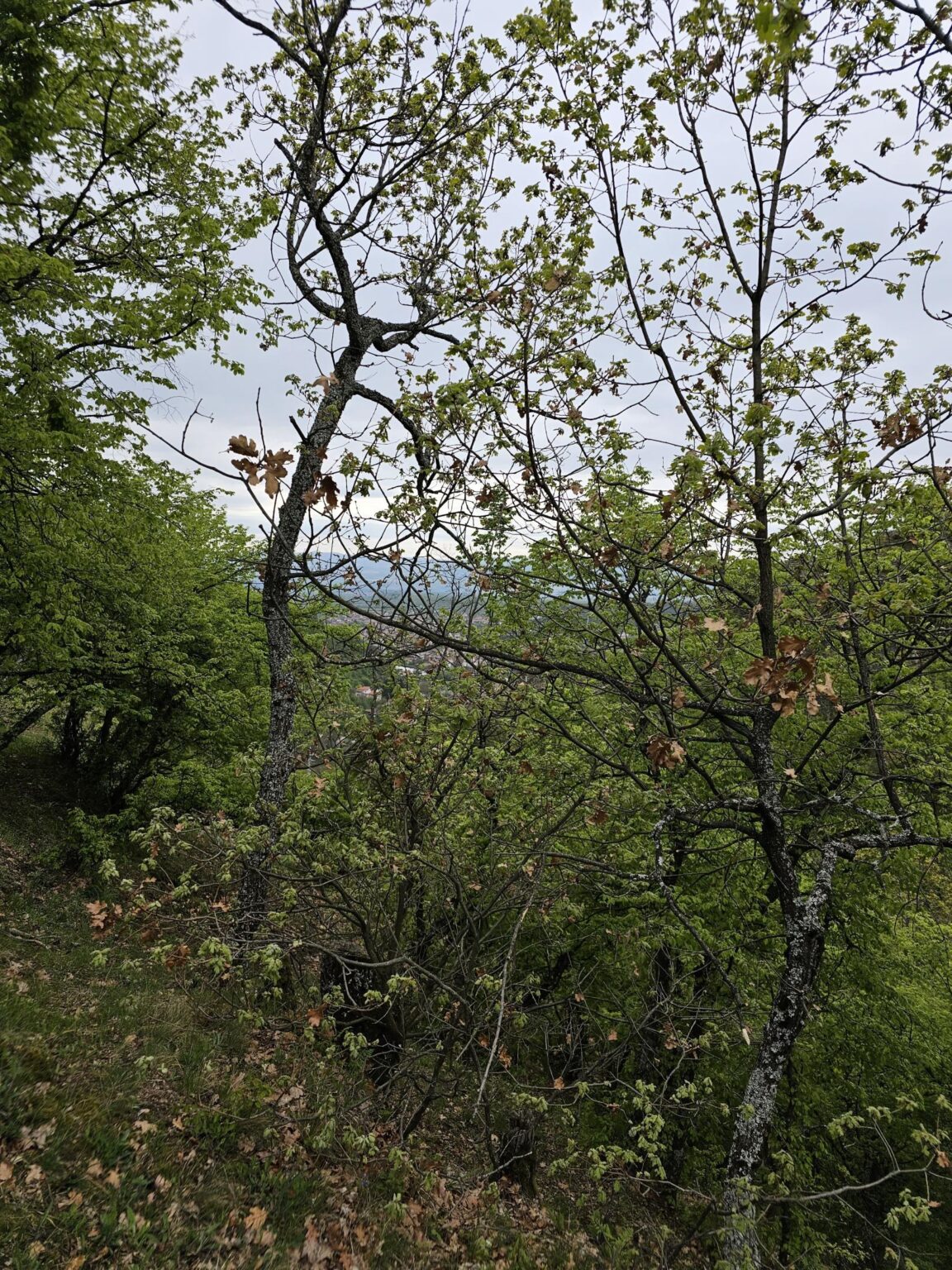 Rila in One Day: The Monastery, the Bohemia Waterfalls and the Stob Pyramids