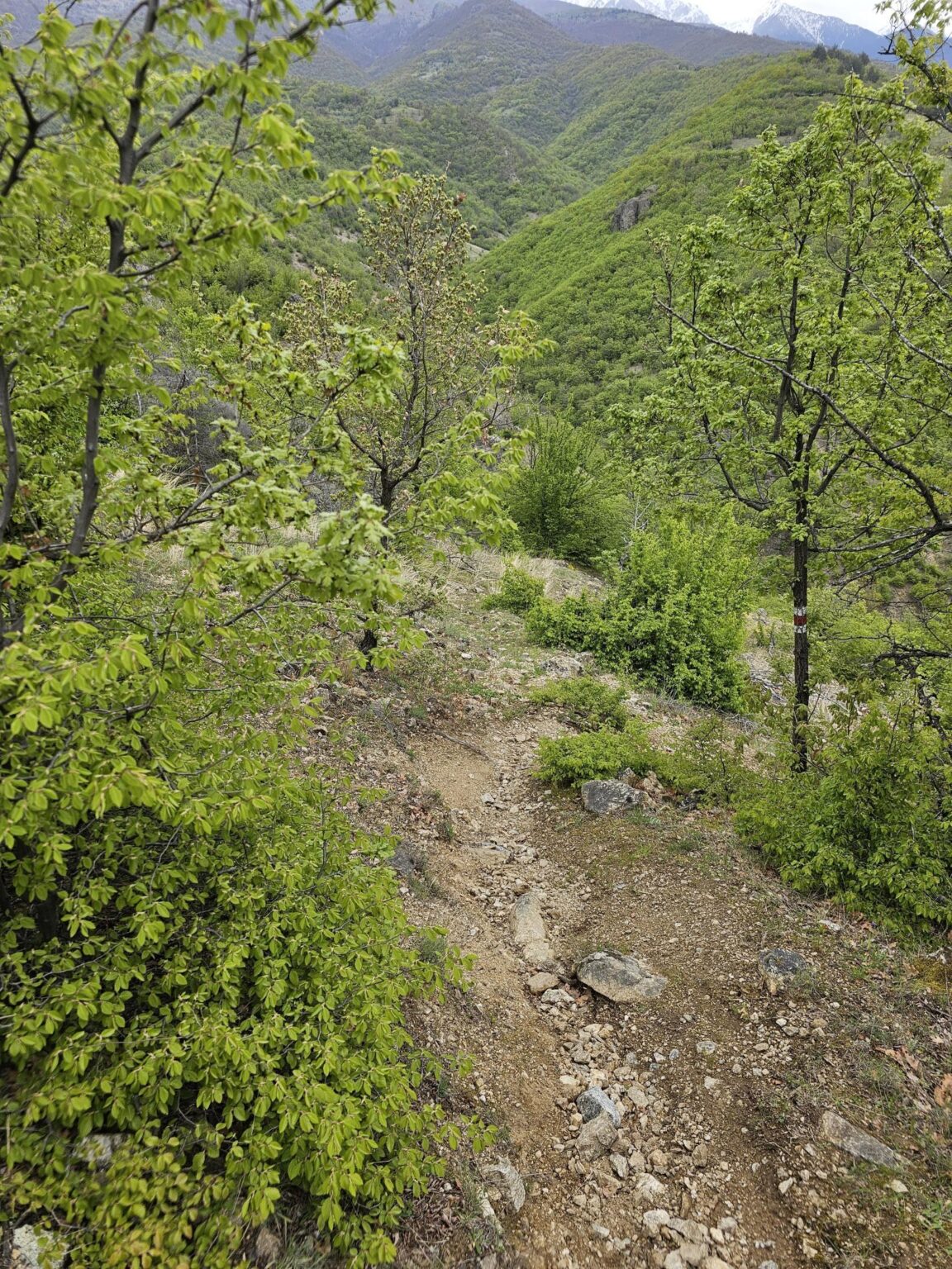 Rila in One Day: The Monastery, the Bohemia Waterfalls and the Stob Pyramids