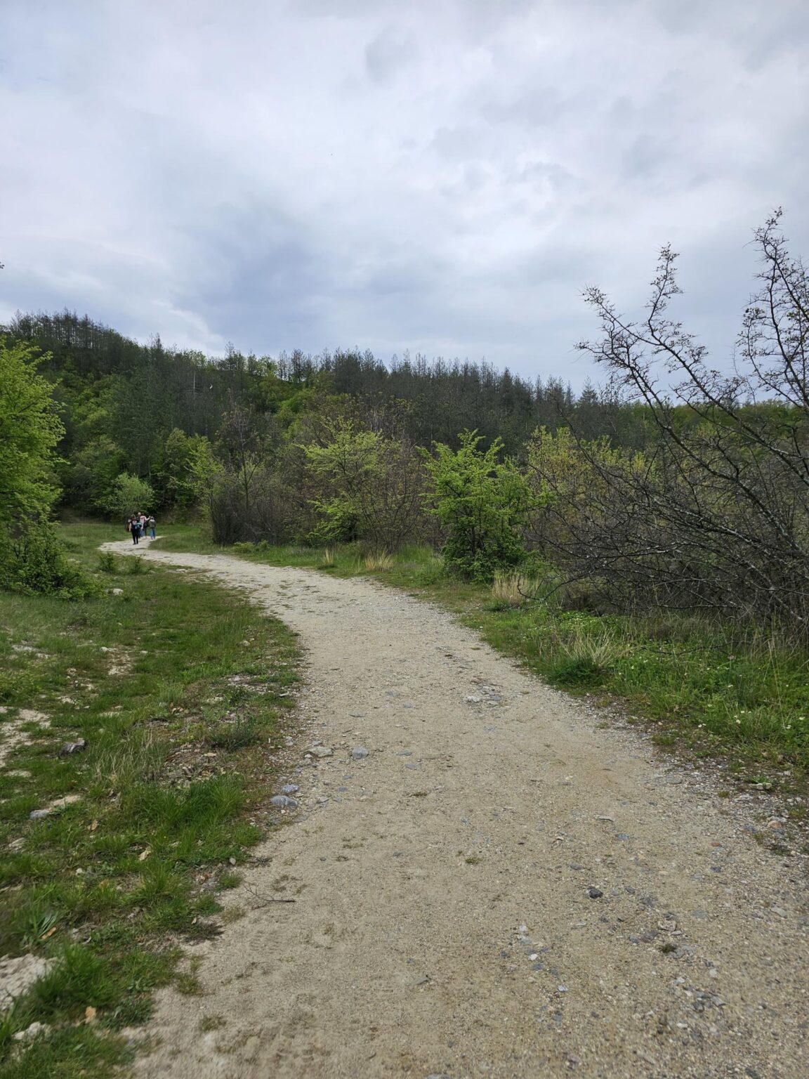 Rila in One Day: The Monastery, the Bohemia Waterfalls and the Stob Pyramids