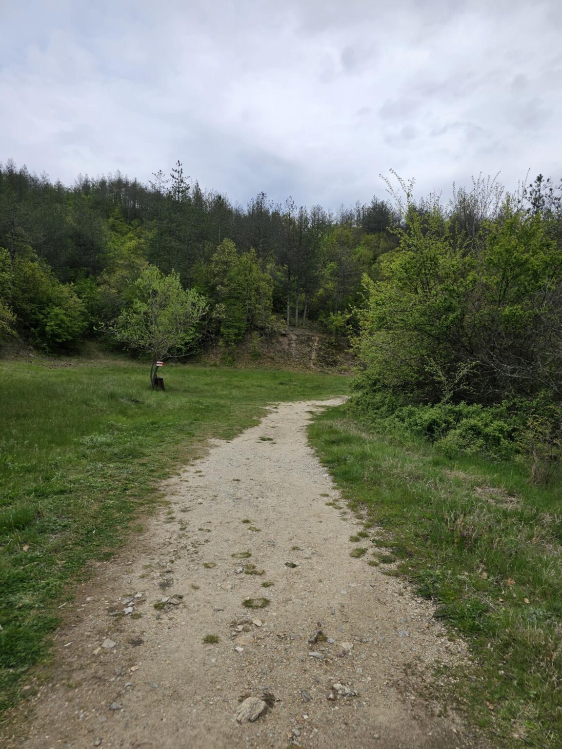 Rila in One Day: The Monastery, the Bohemia Waterfalls and the Stob Pyramids