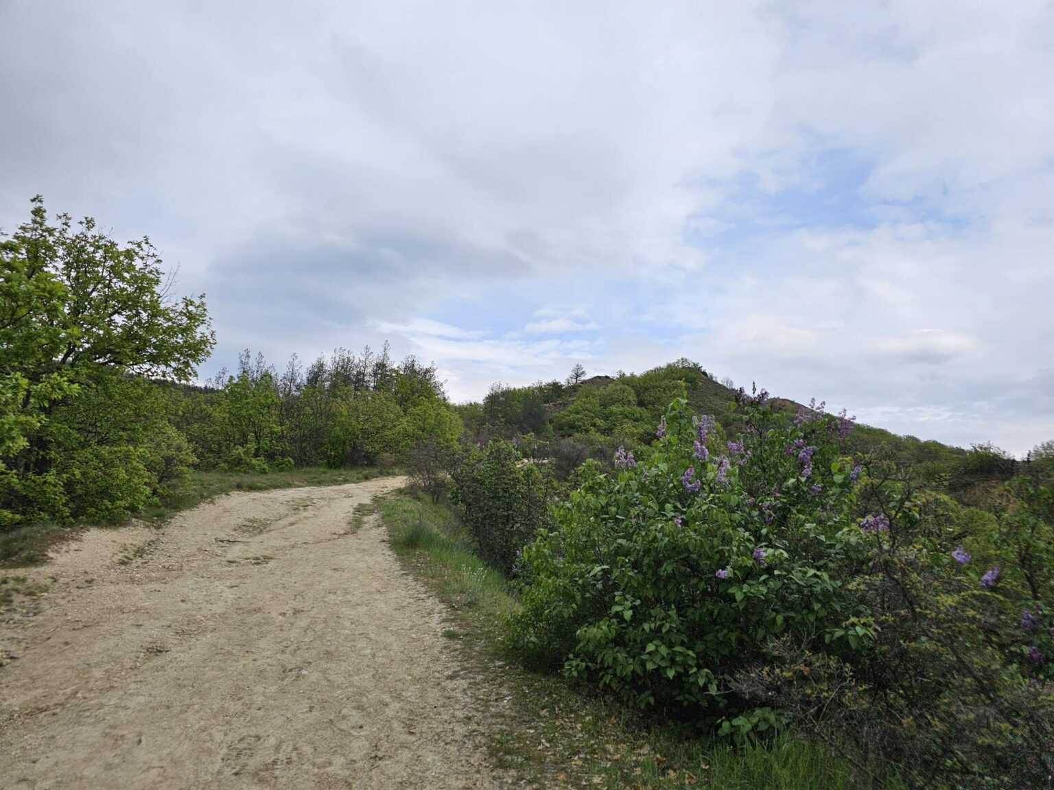 Rila in One Day: The Monastery, the Bohemia Waterfalls and the Stob Pyramids
