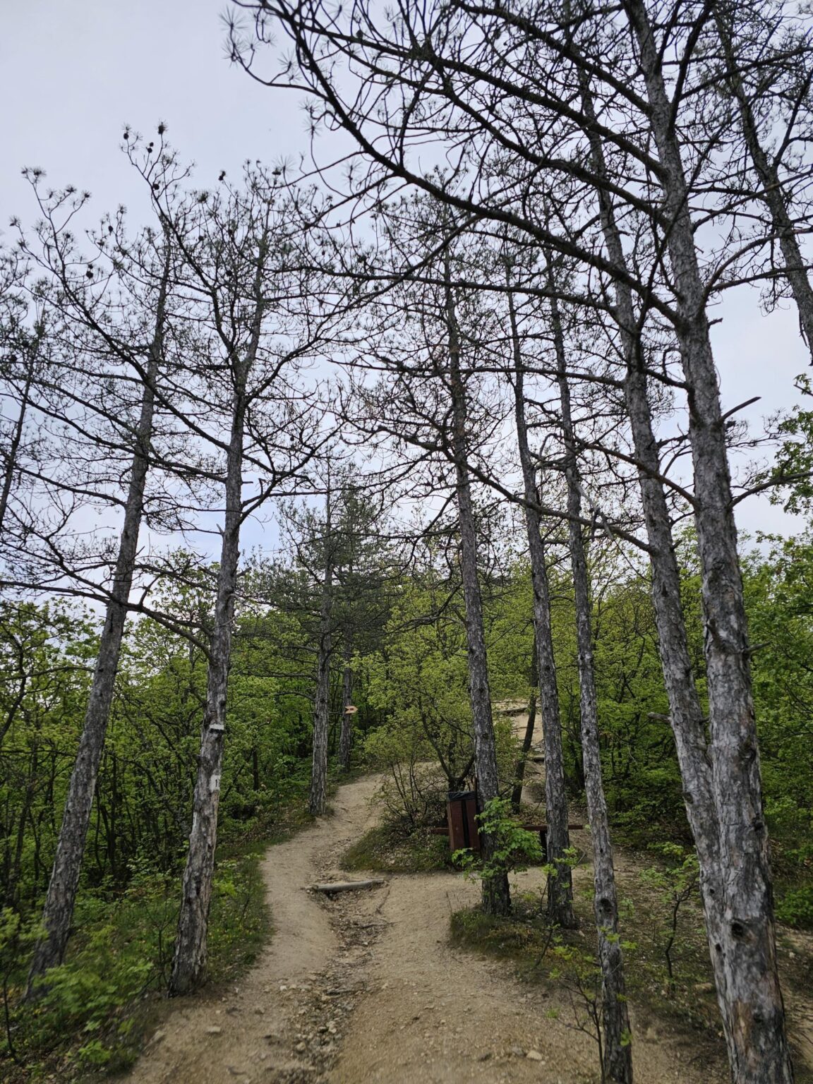 Rila in One Day: The Monastery, the Bohemia Waterfalls and the Stob Pyramids