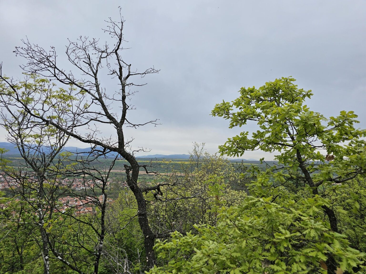 Rila in One Day: The Monastery, the Bohemia Waterfalls and the Stob Pyramids