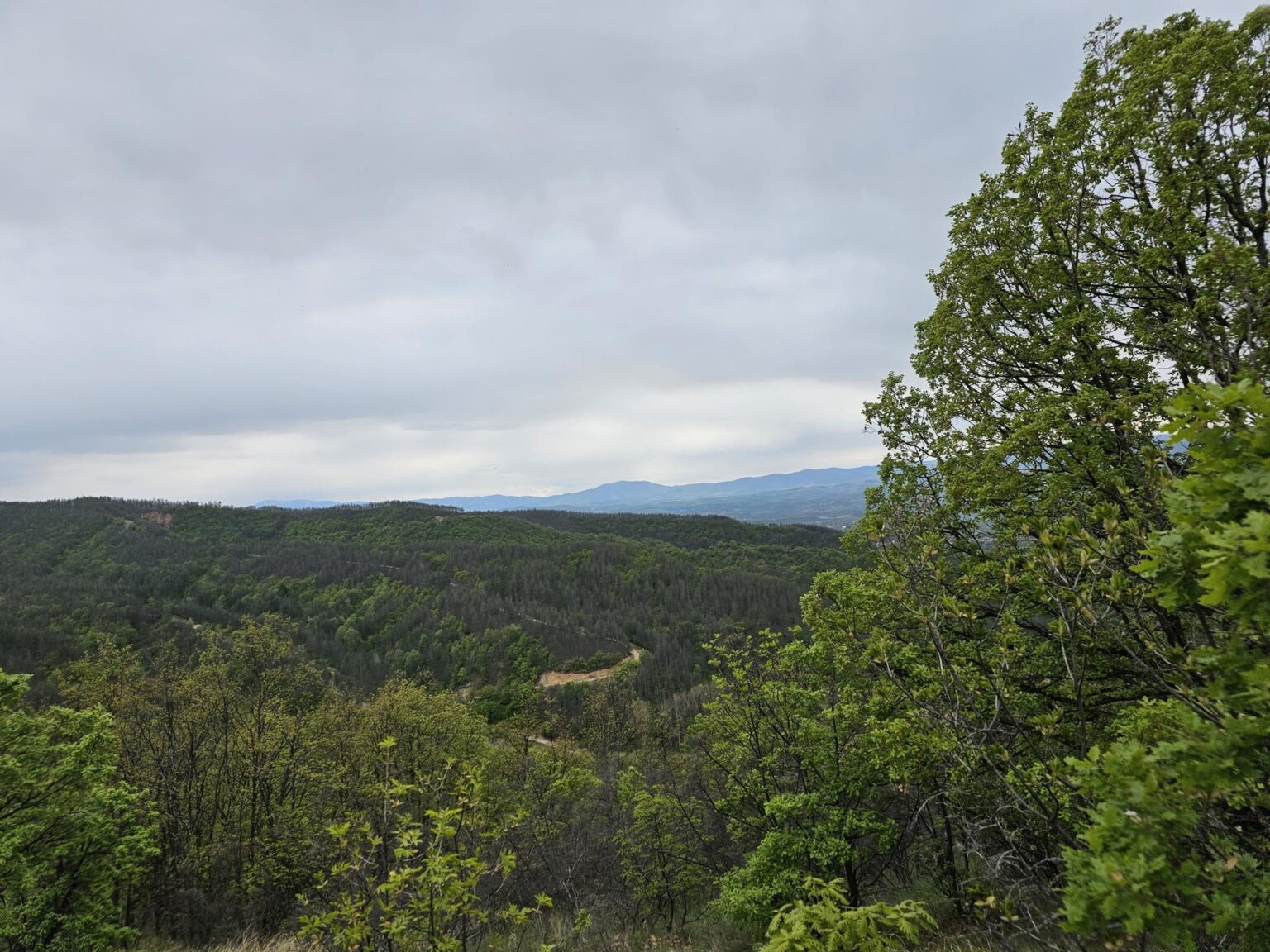 Rila in One Day: The Monastery, the Bohemia Waterfalls and the Stob Pyramids