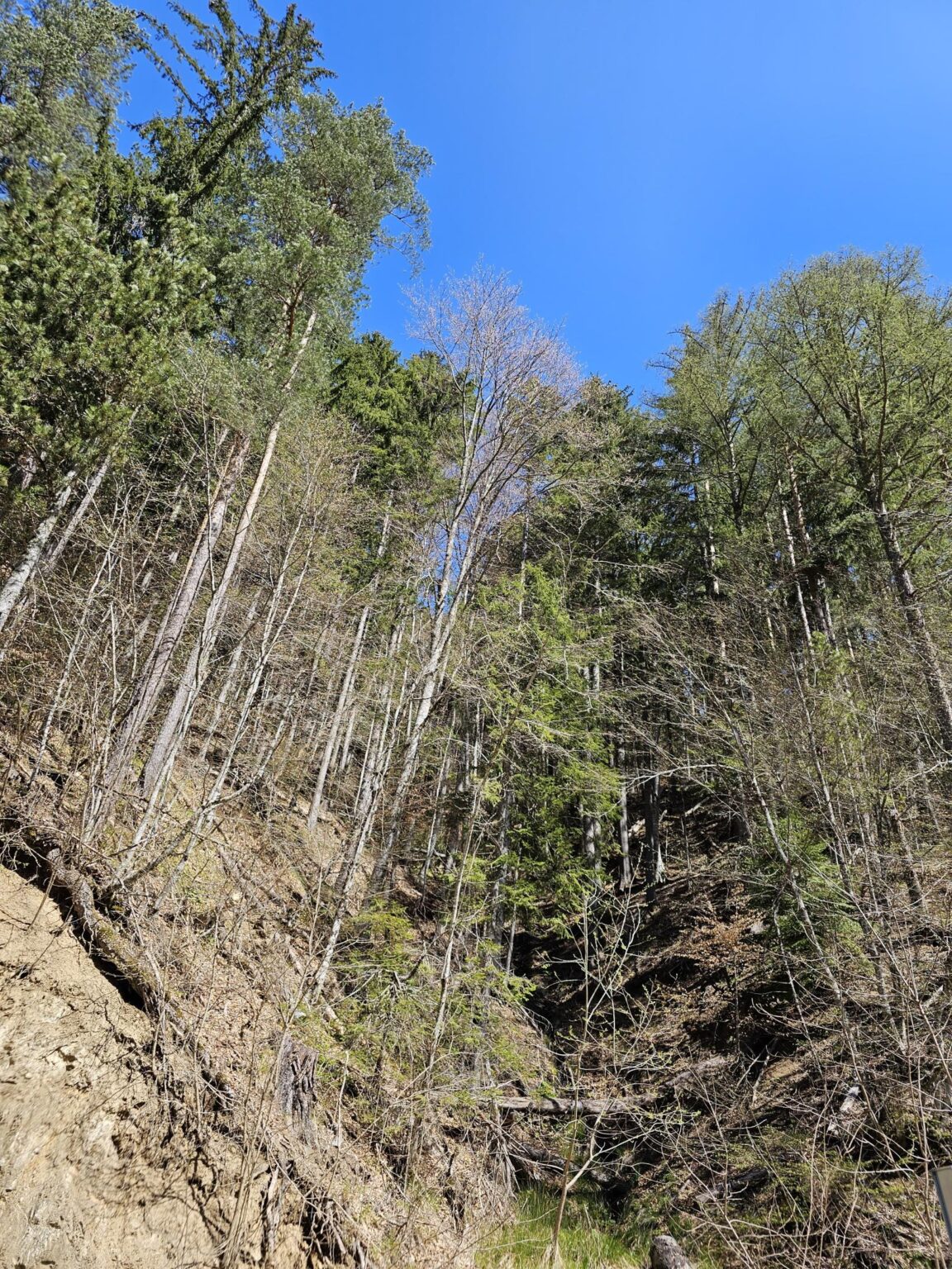 Rila in One Day: The Monastery, the Bohemia Waterfalls and the Stob Pyramids