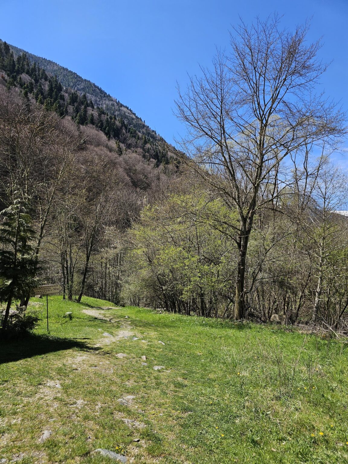Rila in One Day: The Monastery, the Bohemia Waterfalls and the Stob Pyramids