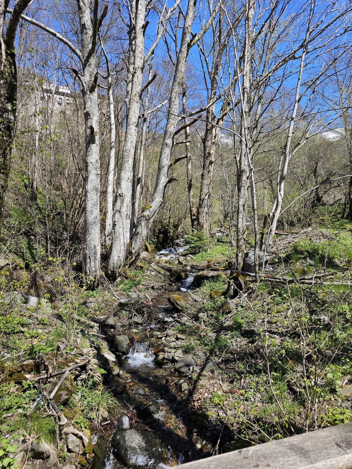 Rila in One Day: The Monastery, the Bohemia Waterfalls and the Stob Pyramids